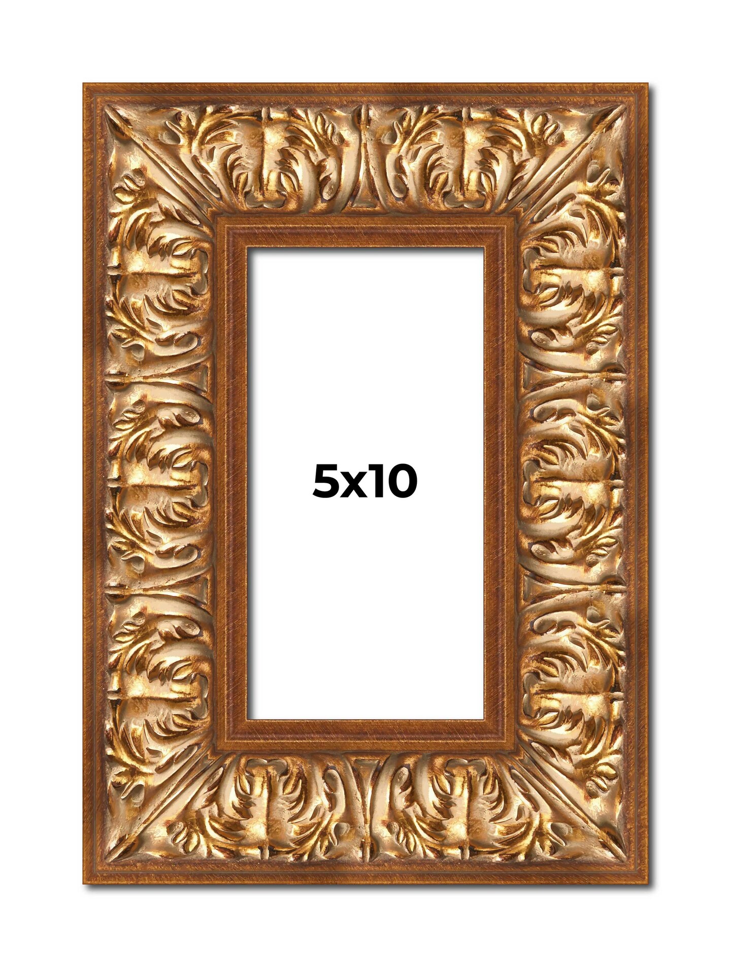 Panoramic Modern Shadow Box 1" Depth Gold Frame - UV Acrylic, Backing, Hanging Hardware