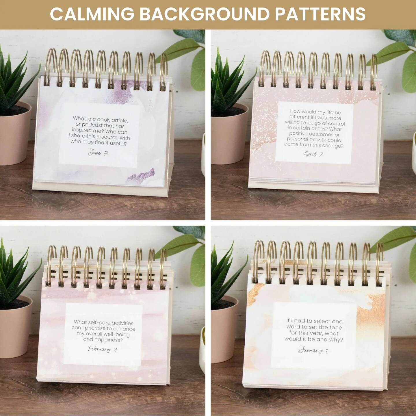 bloom daily planners Inspirational Perpetual Desk Easel, Daily Reflection Questions