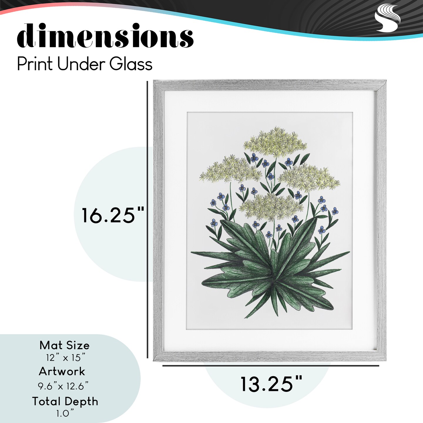 Stupell Industries New Roots Vintage Sketch Framed Print Under Glass, design by Cecilia Battaini