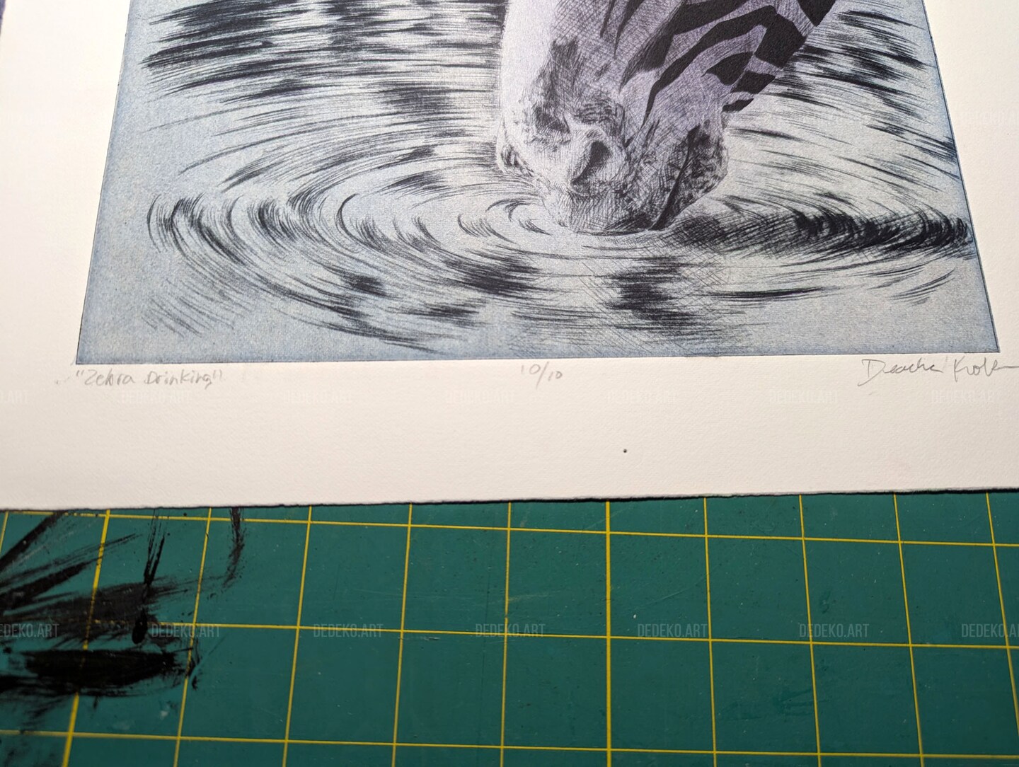 Original Intaglio Print – Purple and Blue Zebra Close-Up Drinking