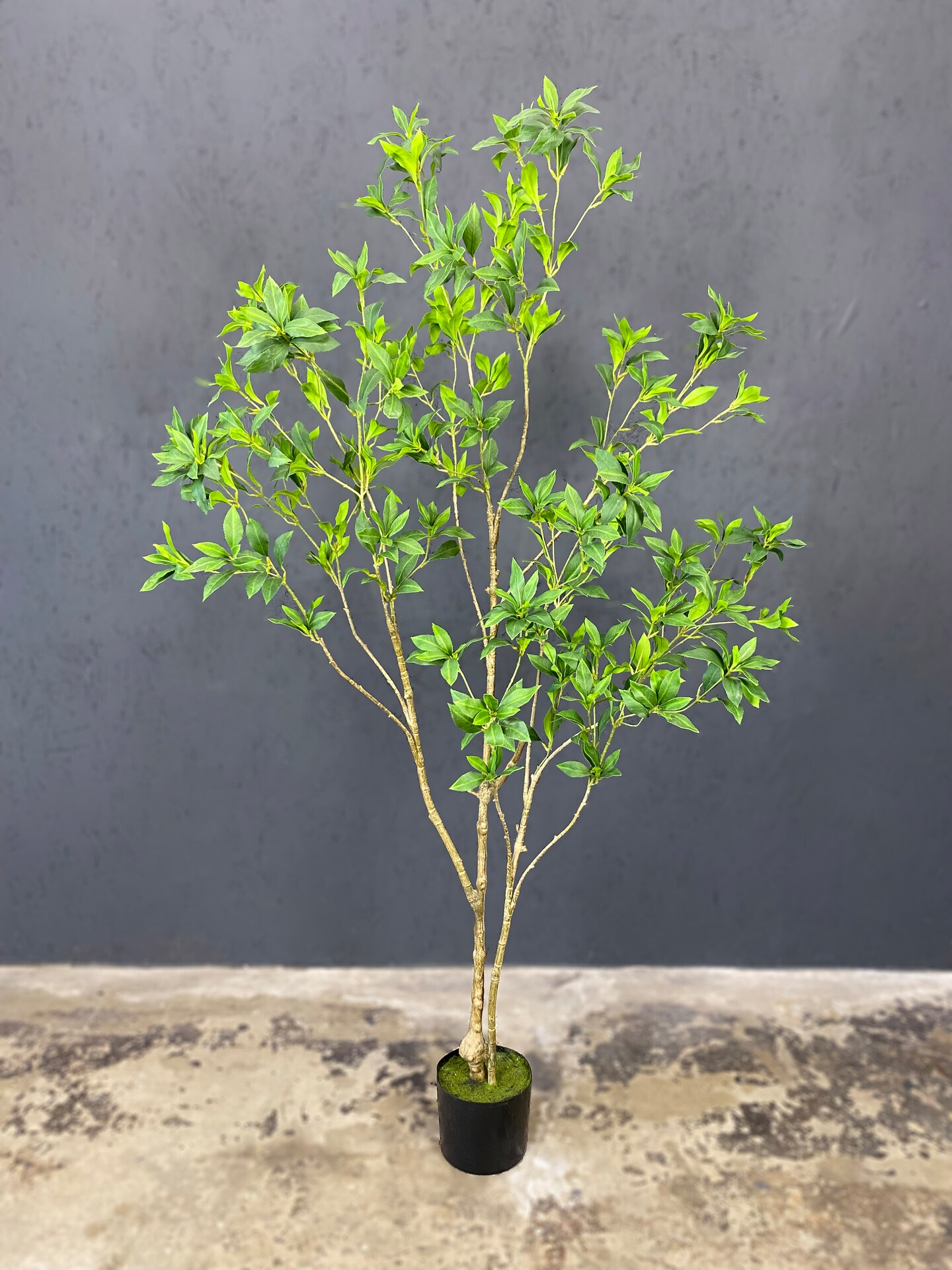 Artificial Japanese Enkianthus Tree Faux | MakerPlace by Michaels