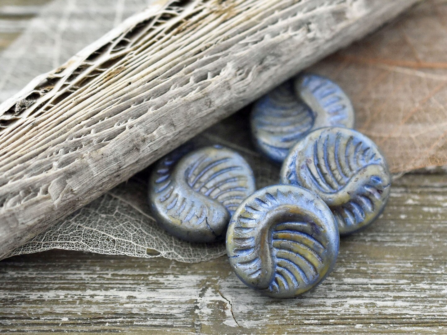 *6* 19mm Alabaster Celestial Blue Fossil Coin Beads