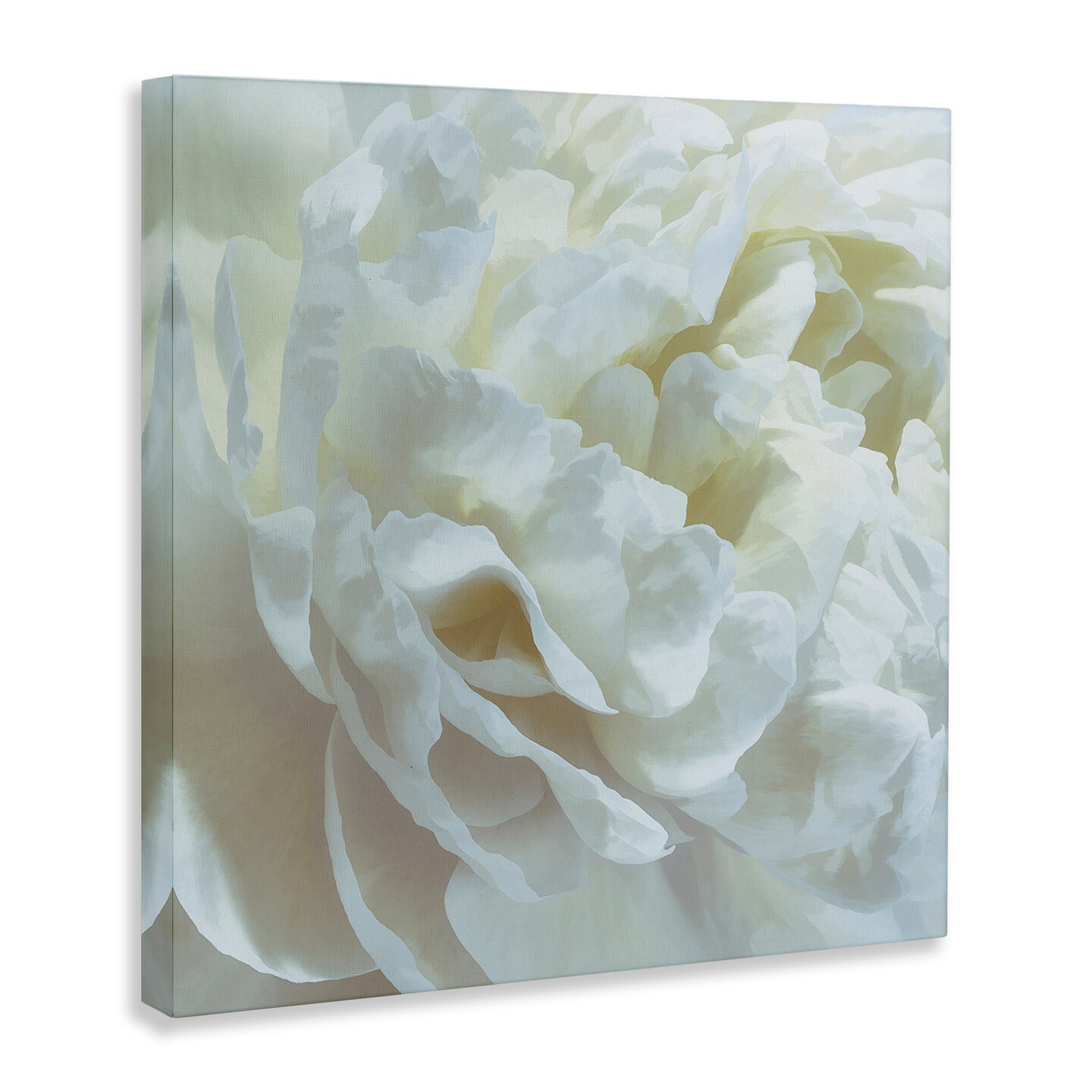 Stupell Industries Elegant White Petals Canvas Design by David Pollard