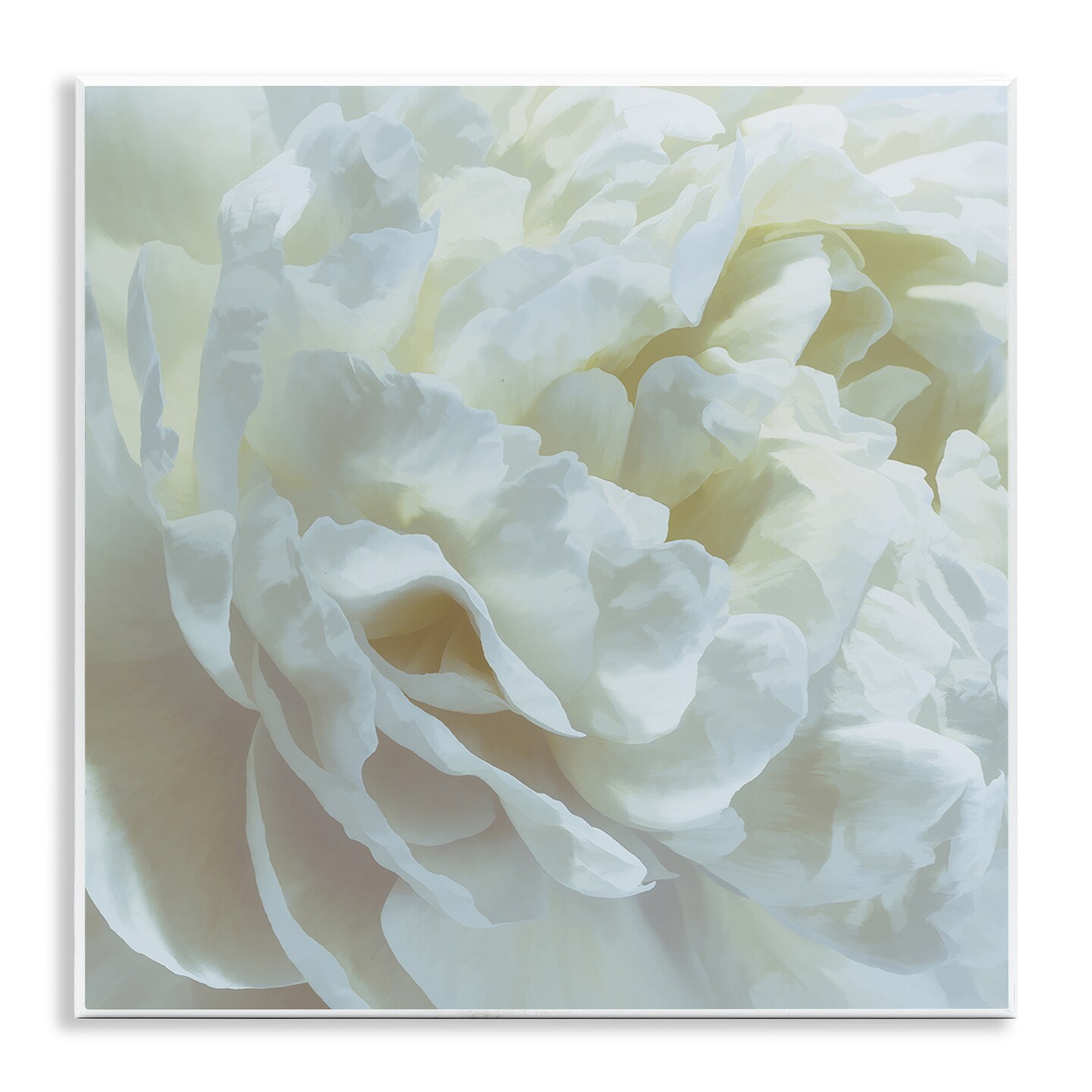 Stupell Industries Elegant White Petals Wall Plaque Design by David Pollard