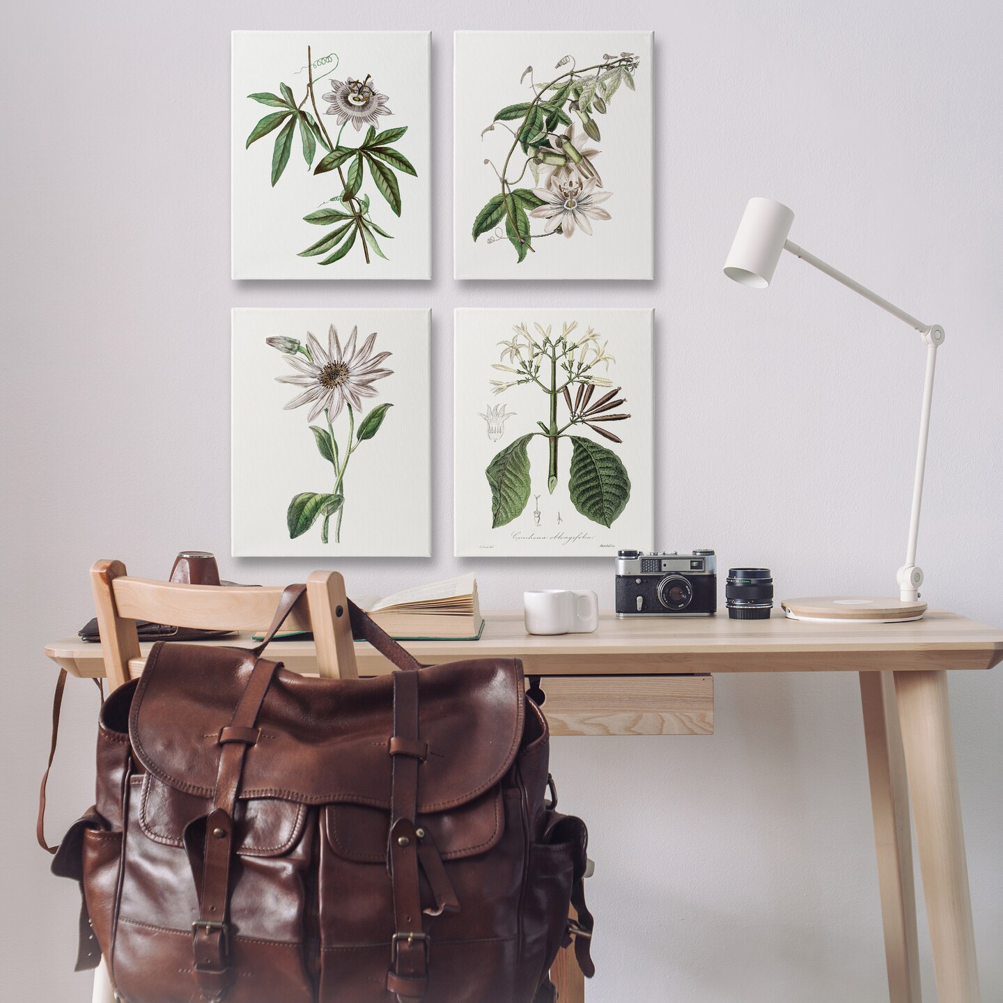 Stupell Industries Various Vintage Botanicals 4pc Canvas Set Design by CAD Design