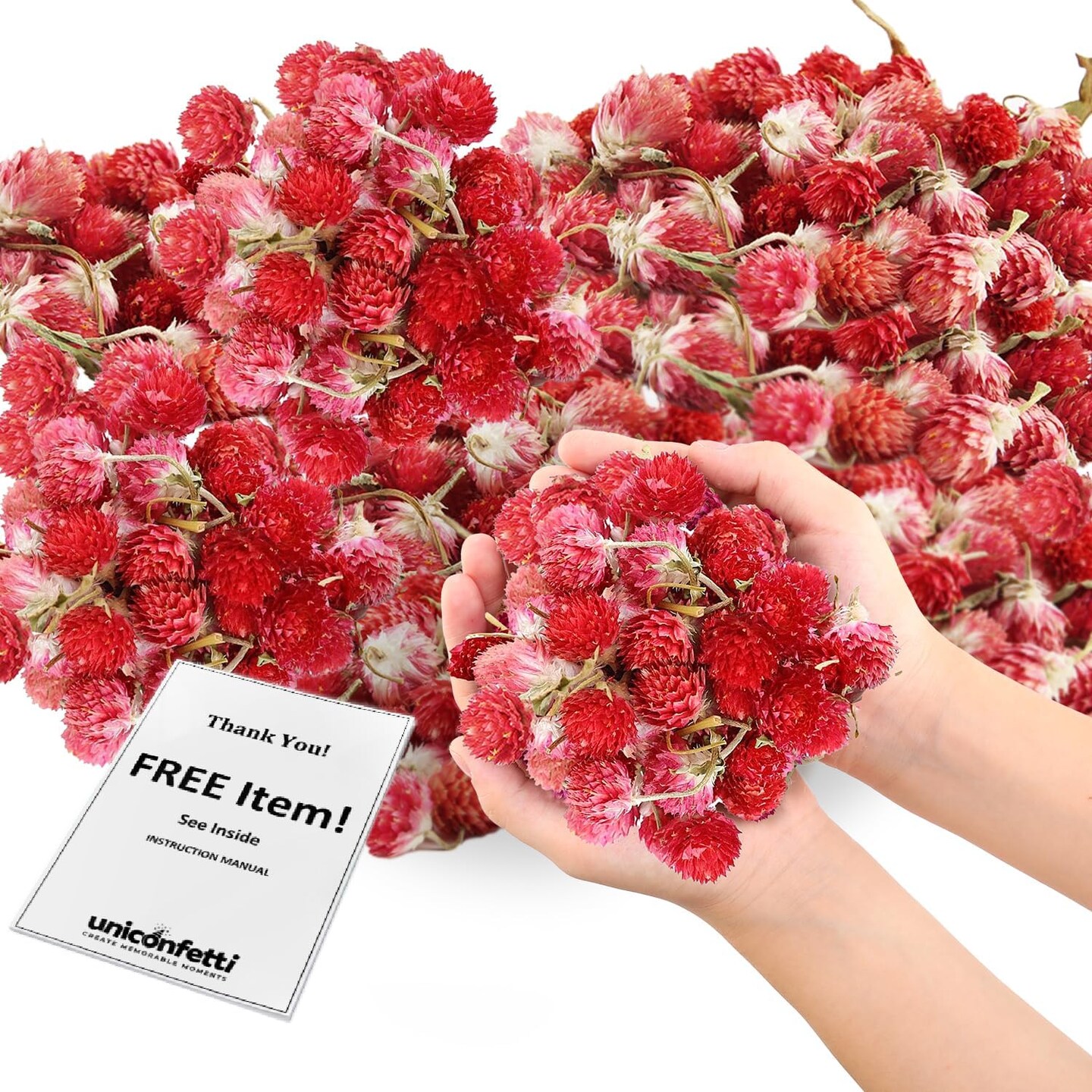 Dried Flower Red Plum Biodegradable Confetti - Flower Petals for Weddings, Flower Girl Toss, Wedding