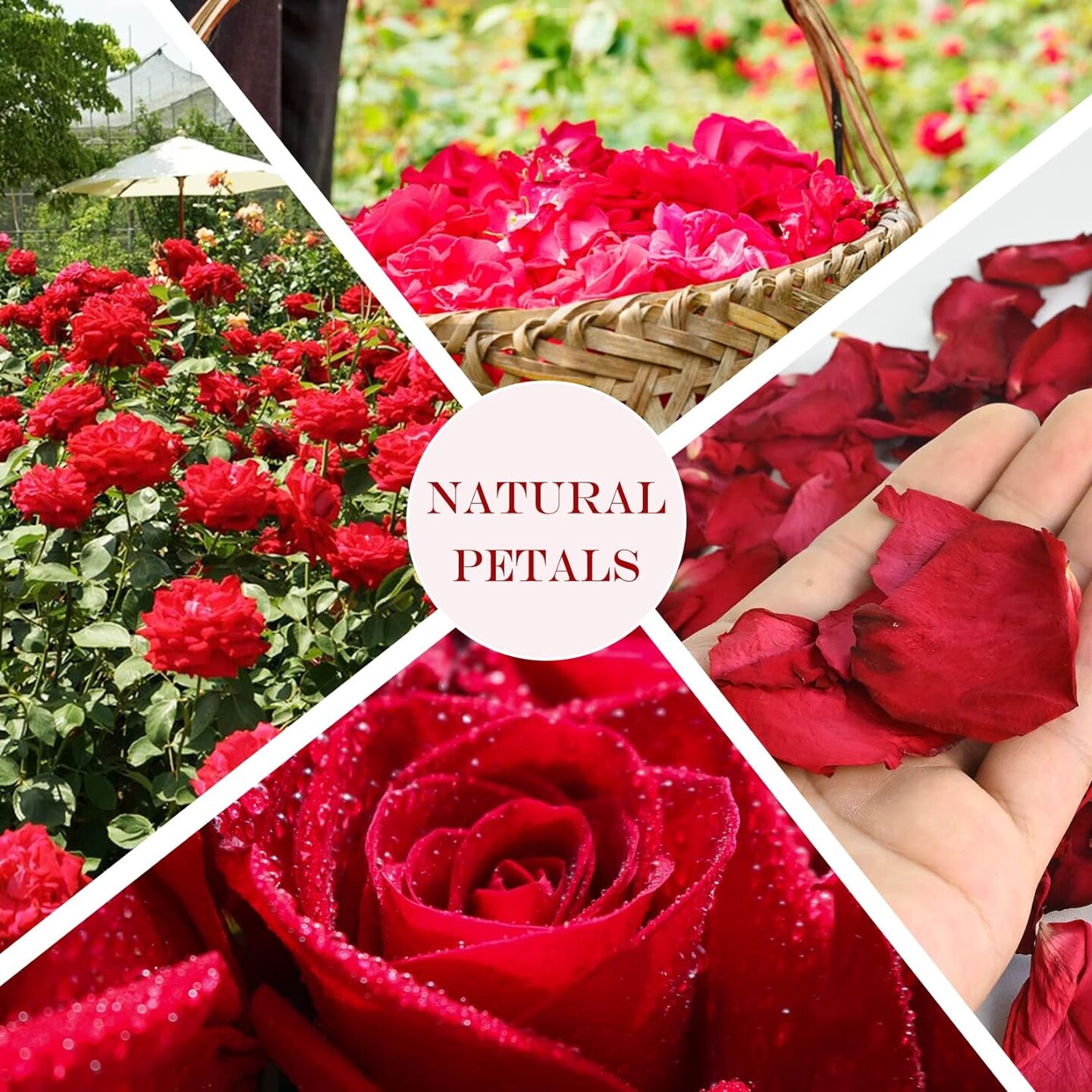 Dried Rose Petals - Dry Rose Petals Real Rose Petals Dried Organic for Rose Bath Spa Rose Quartz Candle Soap Making Wedding Confetti Resin Jewelry DIY Crafts Accessories