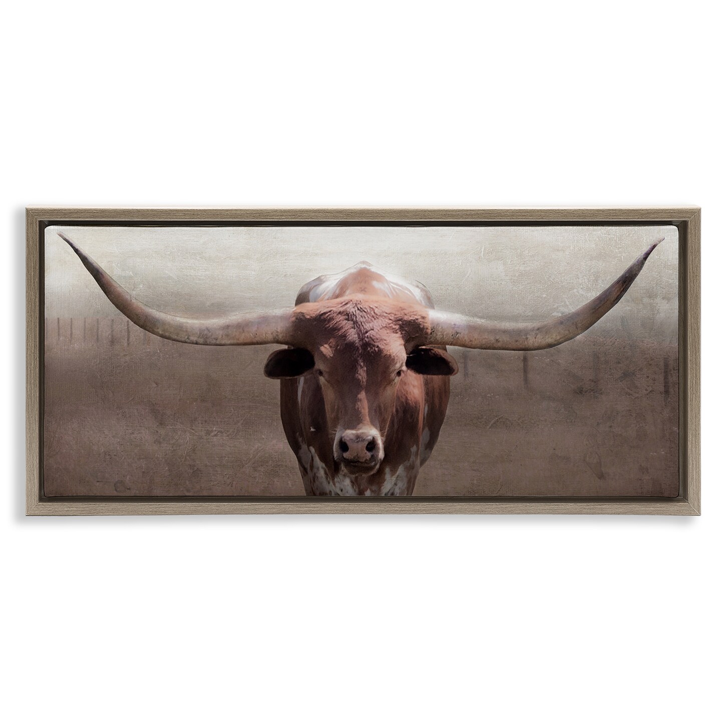 Stupell Industries Rustic Western Longhorn Floating Frame Design by Carol Robinson