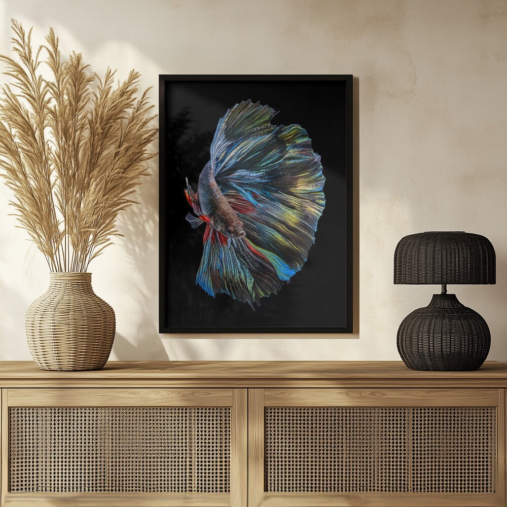 The  Betta Fish - Andi Halil 24x36 Black Framed Art | Home or Office Art