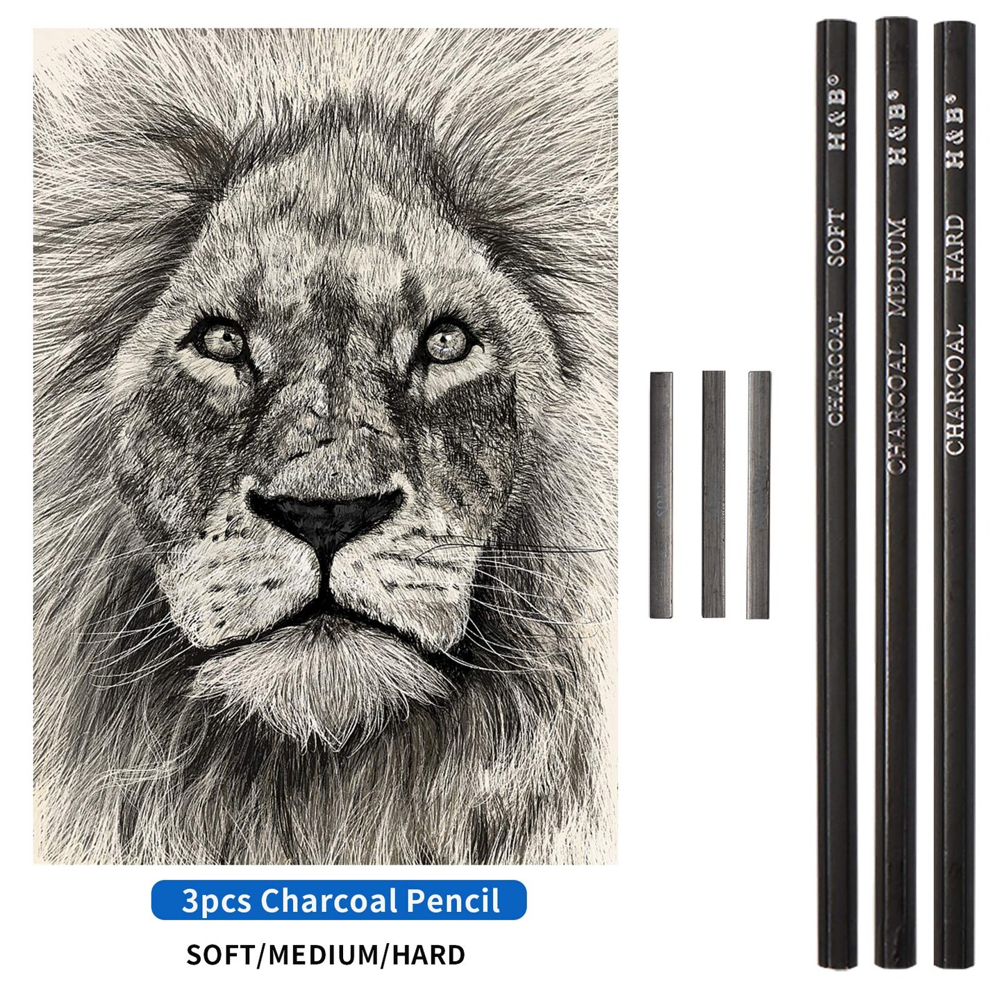 Sketching and Drawing Colored Pencils Set 96-Pieces,Art Supplies Painting Graphite Professional Art Pencils Kit,Gifts for Teens &#x26; Adults Drawing Charcoal Tool Set