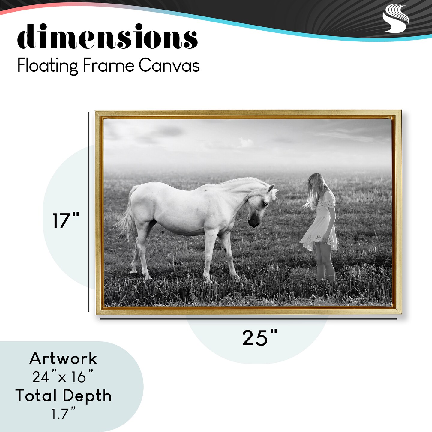 Stupell Industries Her White Horse Floating Frame, design by Ata Alishahi