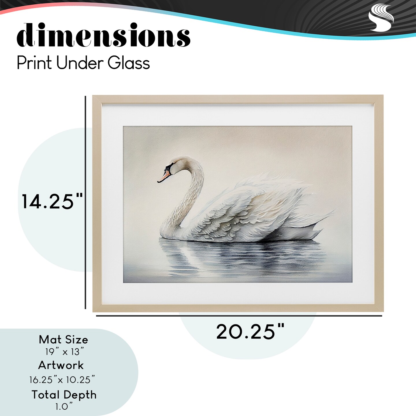 Stupell Industries Elegant Floating Swan Framed Print Under Glass, design by Sasha