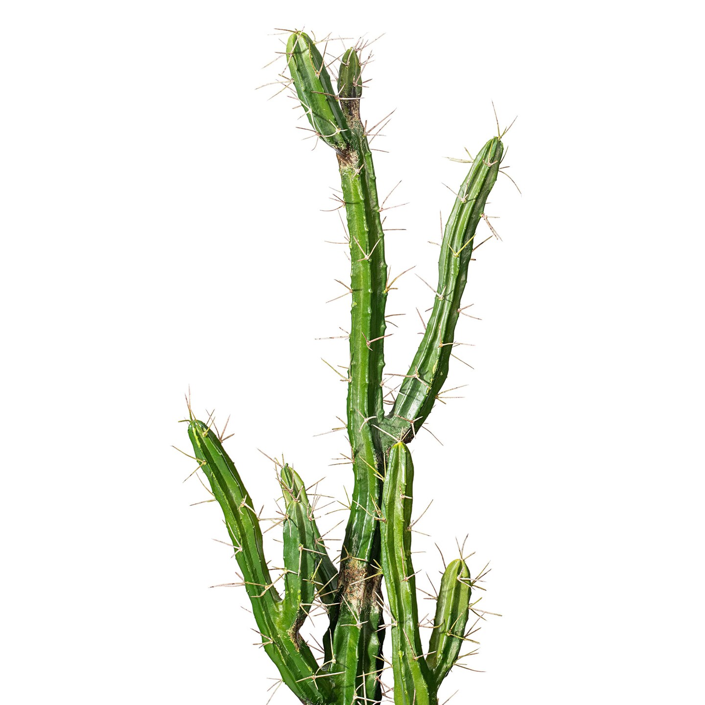 Vickerman 46" Artificial Green Cactus, Black Plastic Planters Pot.