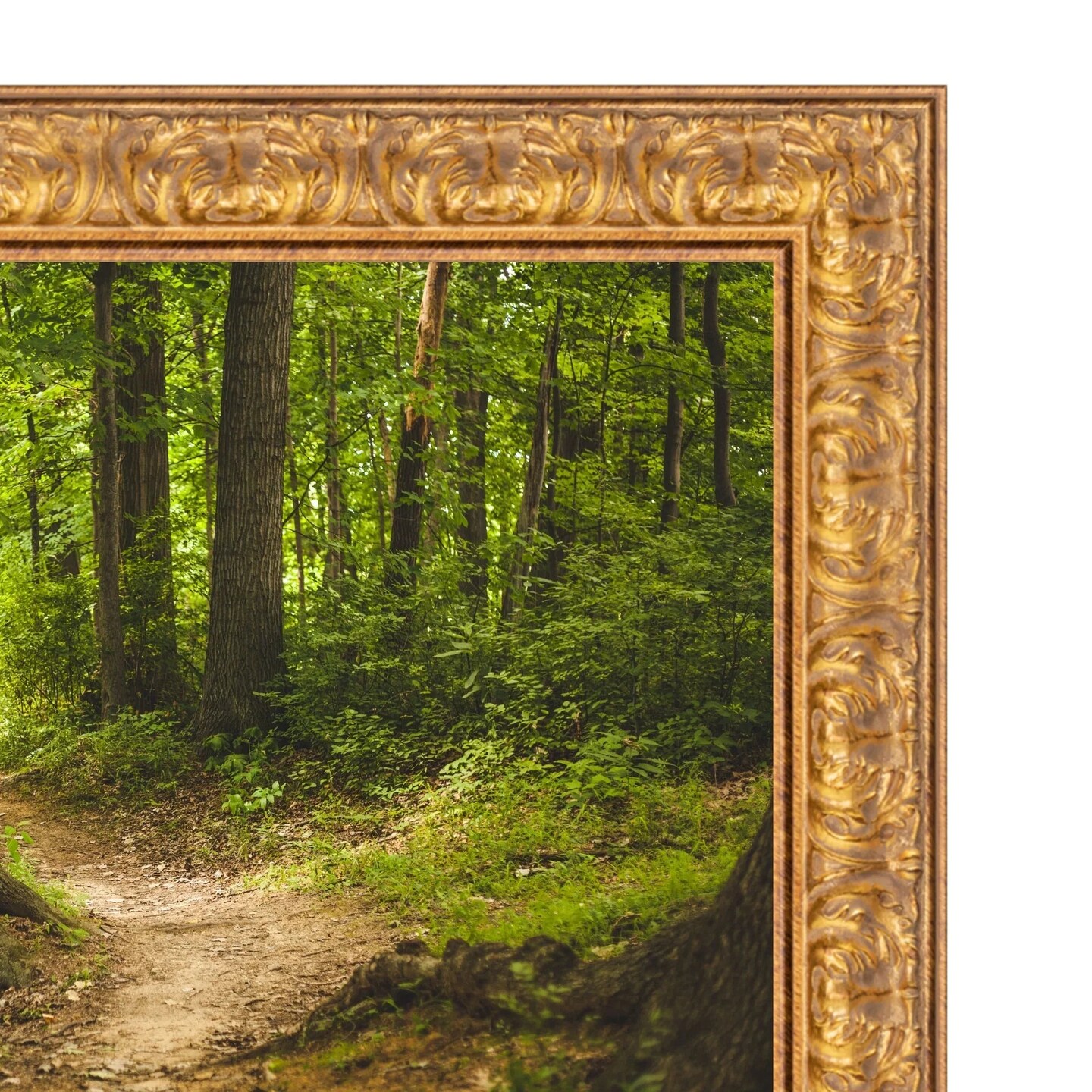 50 Inch TV Picture Frame - Decorative Custom frame for 50 inch TV Samsung