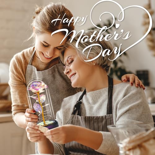 Rose Mothers Day Flowers Gifts for Mom from Daughter Son, Birthday Gifts for Women Wife Mom Grandma Nana, Light Up Rose Flowers in Glass Dome, Gifts for Teacher Mother&#x27;s Day Anniversary