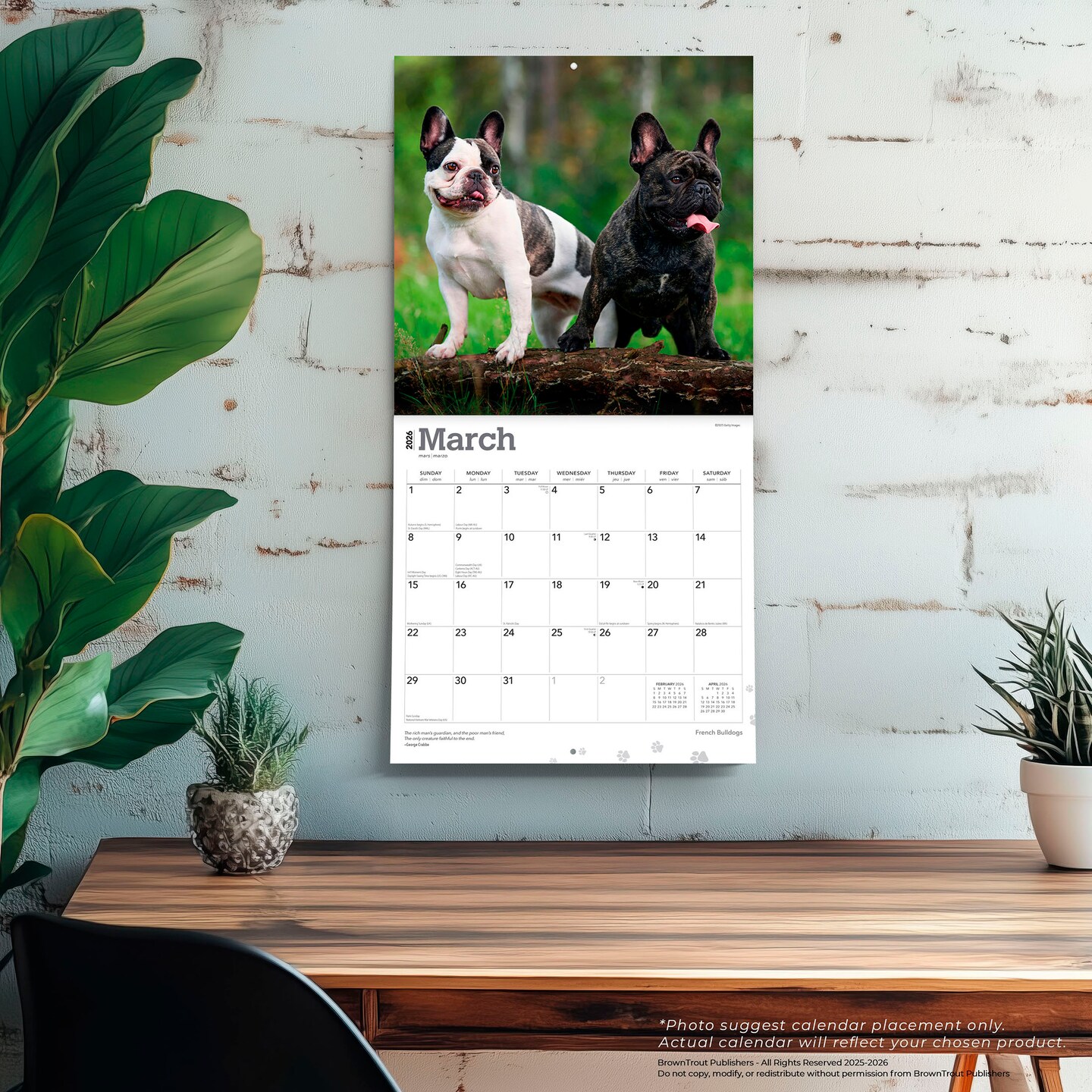 French Bulldogs | 2026 12 x 24 Inch (Hanging) Monthly Square Wall Calendar | Plastic-Free