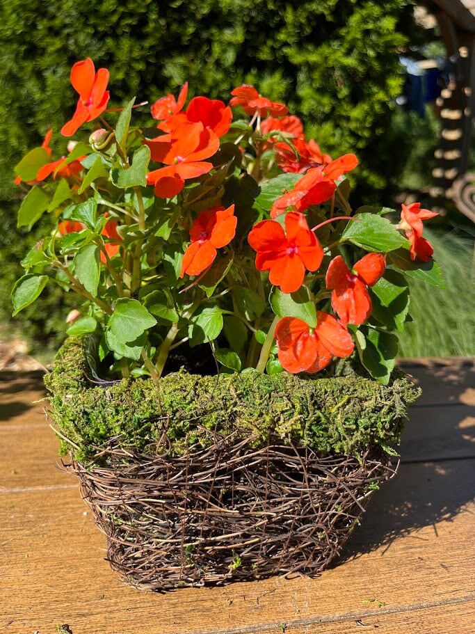 Square Basket Planters - Natural MOSS &#x26; Wicker