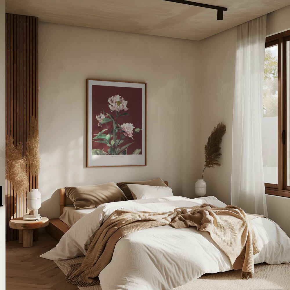 H&#xE6;rdaceous Peony no2 Framed Art Wall Decor