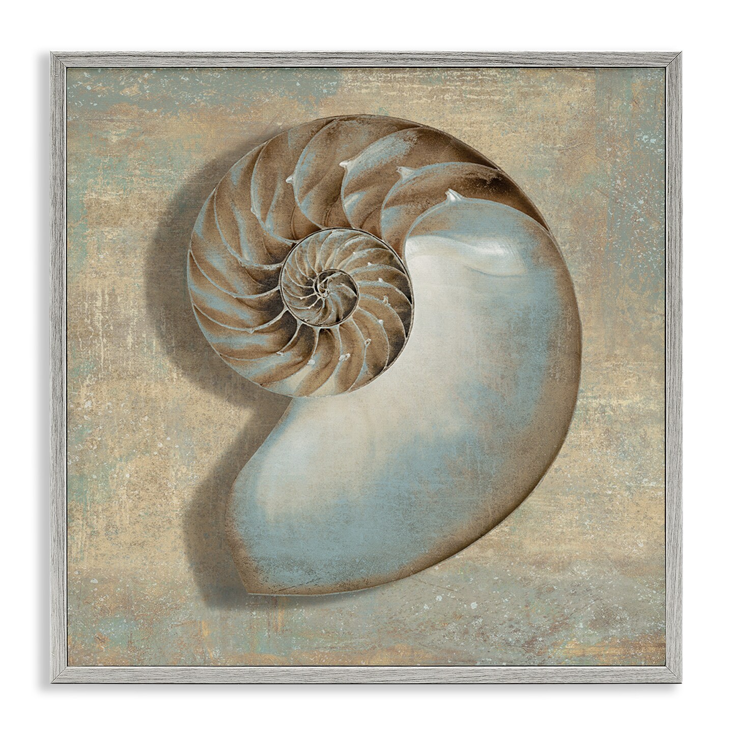 Stupell Industries Shell Beach Objects Design Framed Giclee Art