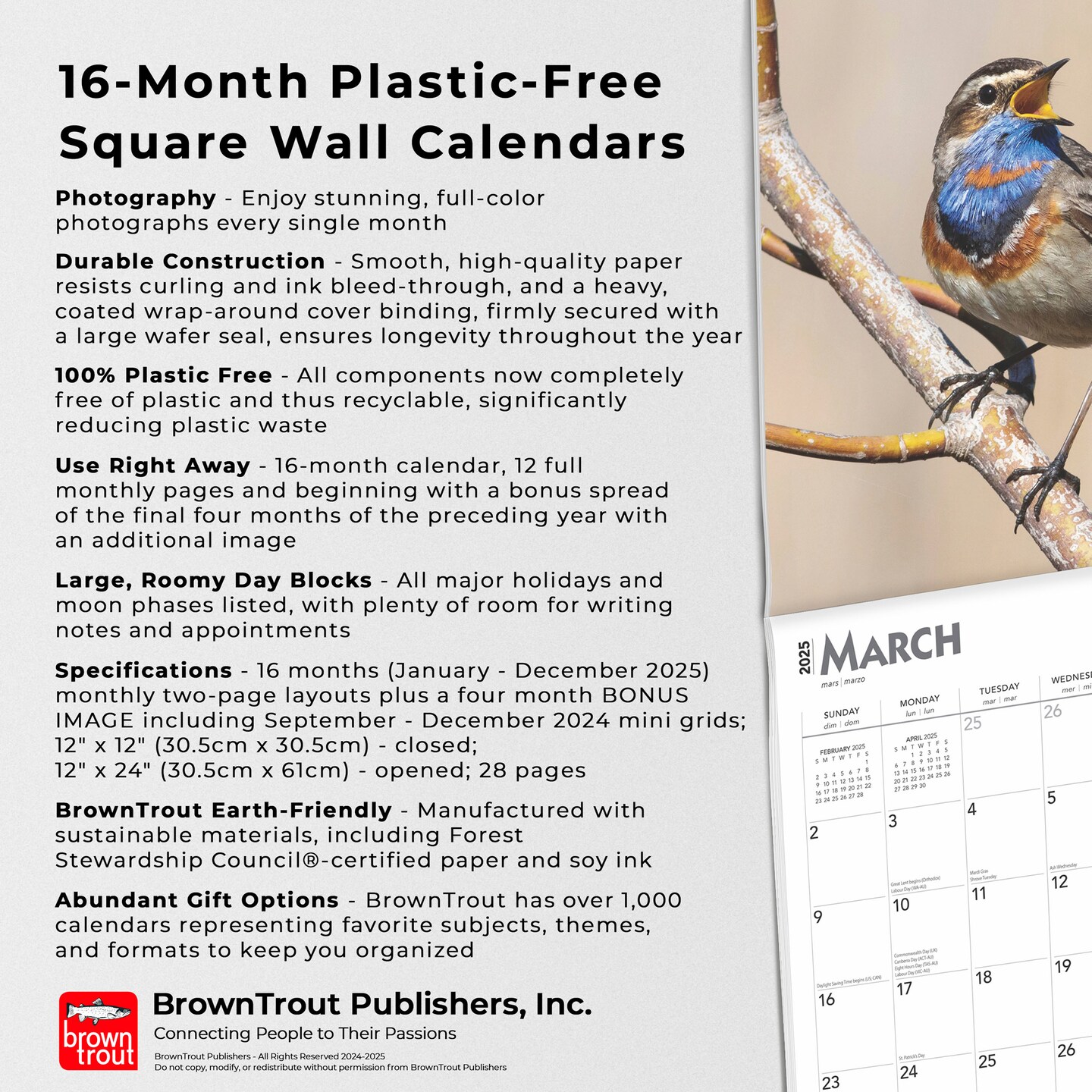 Songbirds | 2025 12 x 24 Inch Monthly Square Wall Calendar | Foil Stamped Cover | Plastic-Free | BrownTrout | Wildlife Animals