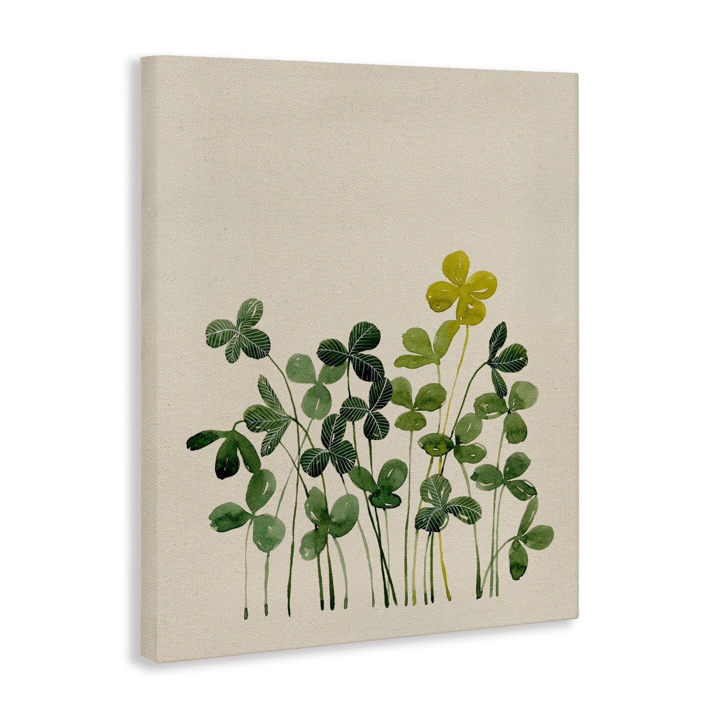 Stupell Industries Hidden Gems Botanicals Canvas, design by Grace Popp