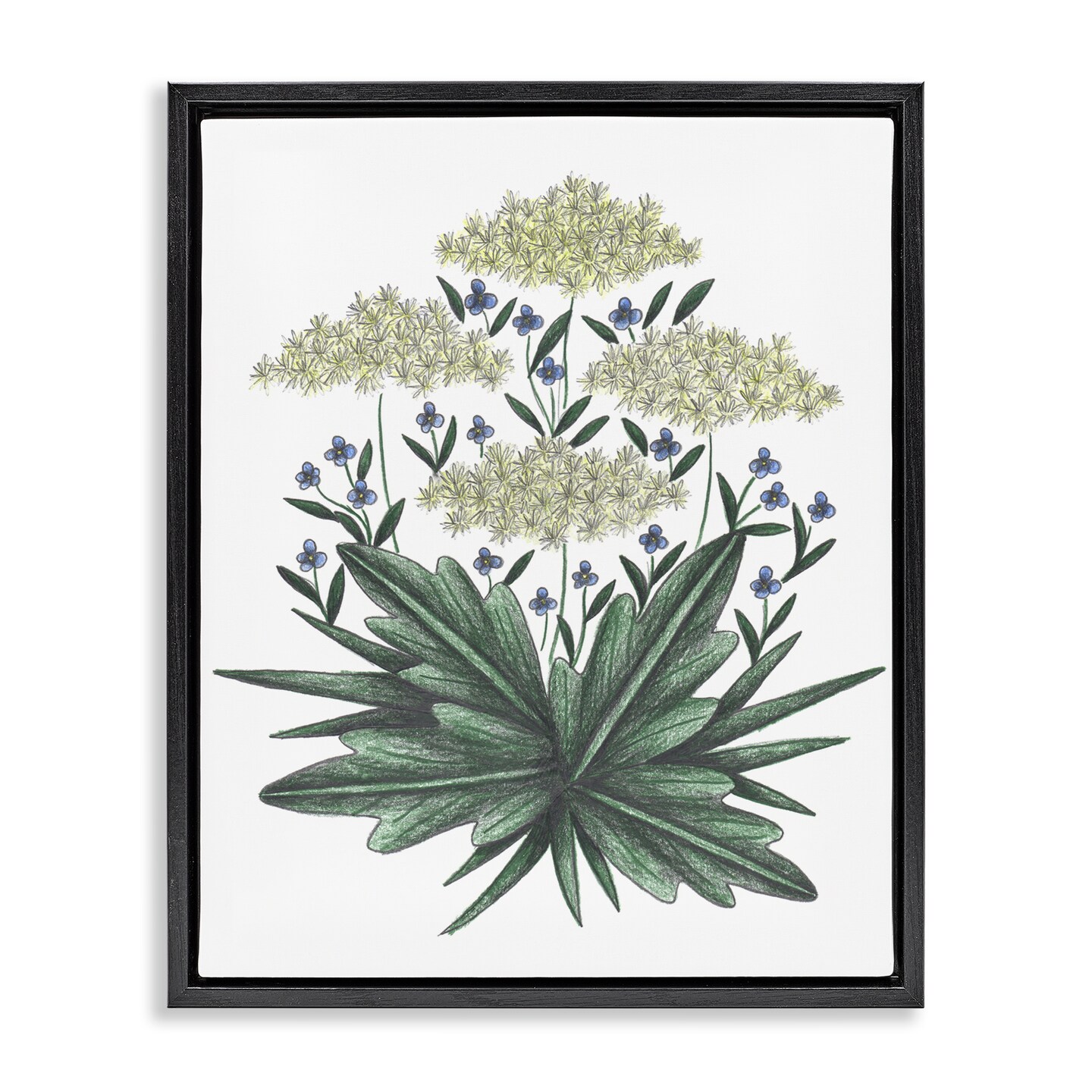 Stupell Industries New Roots Vintage Sketch Floating Frame, design by Cecilia Battaini
