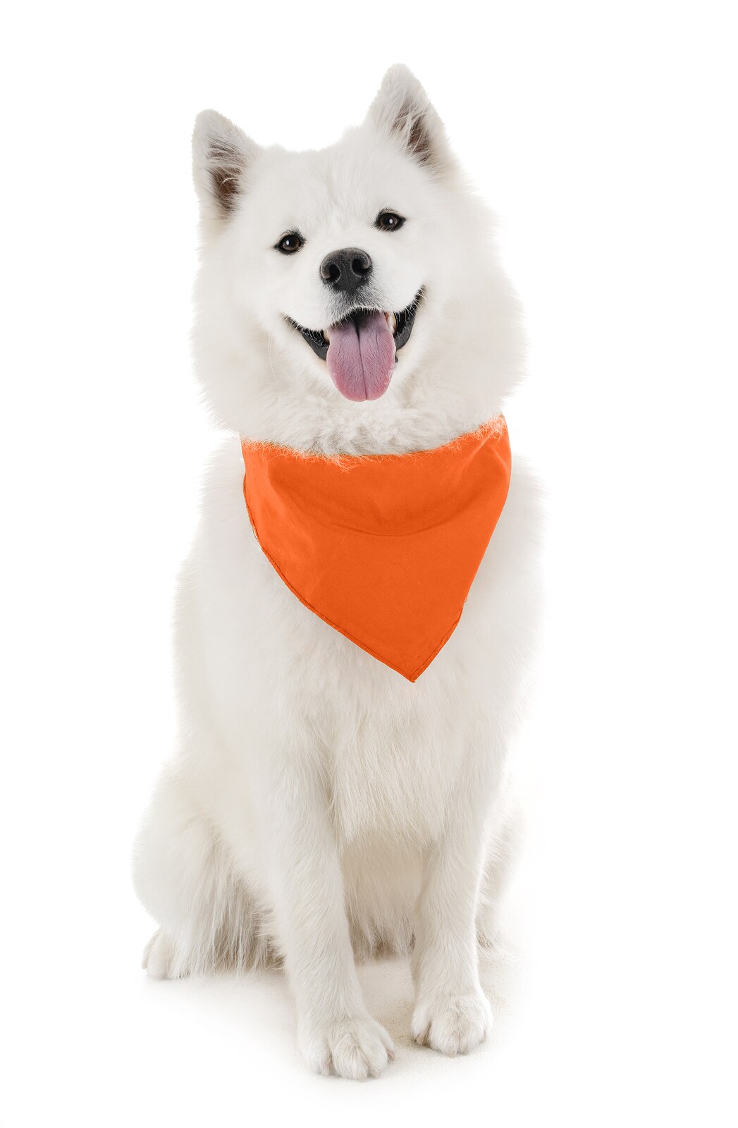 Dog Cotton Bandanas - 4 Pack - Scarf Triangle Bibs for Small, Medium and Large Puppies, Dogs and Cats