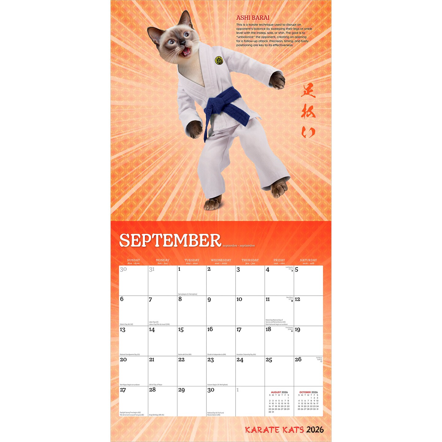 Karate Cats OFFICIAL | 2026 12 x 24 Inch (Hanging) Monthly Square Wall Calendar | Plastic-Free | BrownTrout | Pets Funny Animals Feline
