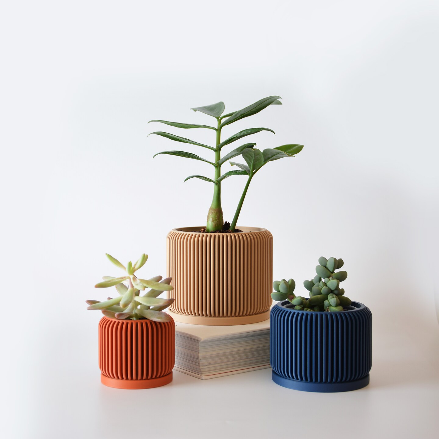 Indoor Planter Pot, Minimalistic Planter with Drip Saucer Tray, Pot with  Drainage, Succulents pot, Succulent Planter with drainage and tray |  MakerPlace by Michaels