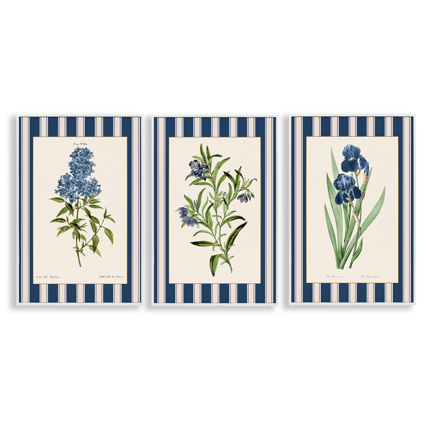 Stupell Industries Vintage Plant Studies over Stripes 3 Piece Black Framed Giclee Art Set, design by Corinne Haig