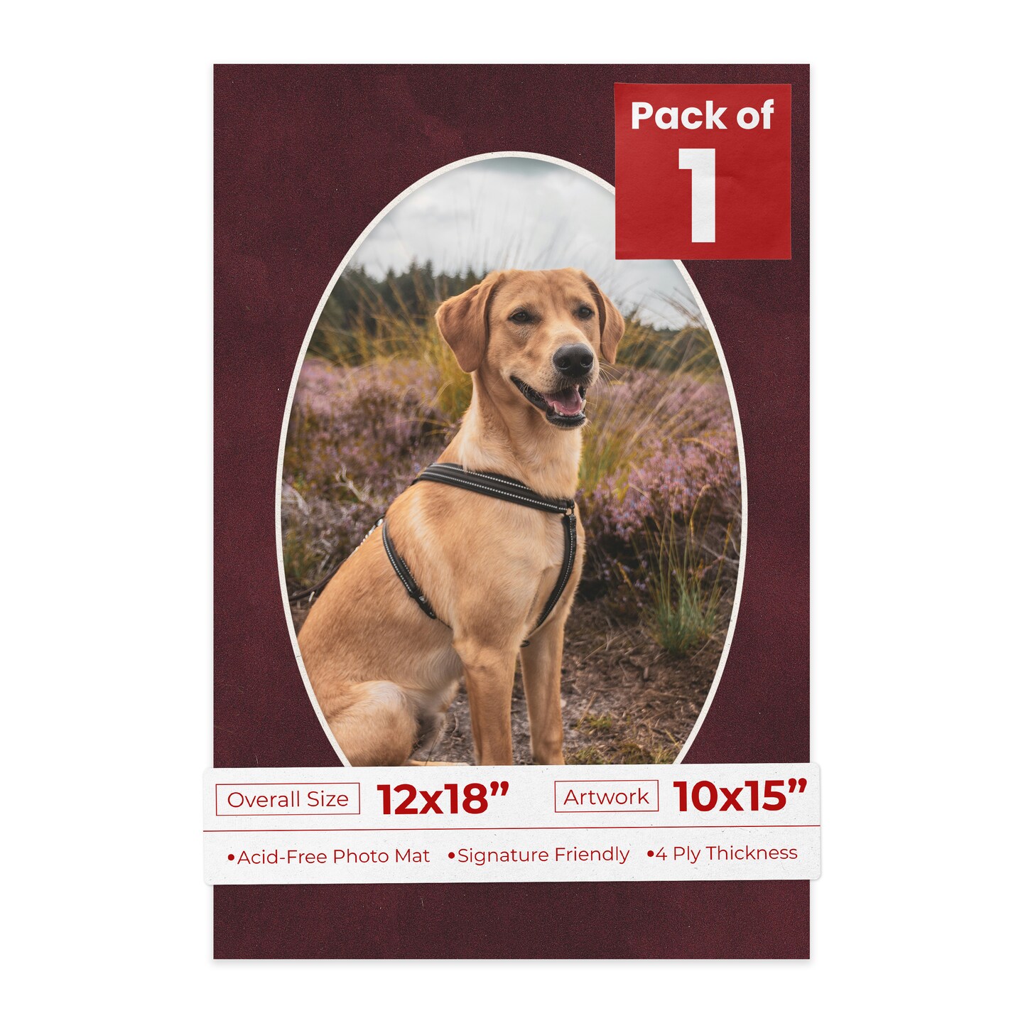 Dark Red Suede Mat Board for 12x18 Frames - Oval Opening for 10x15 Photos