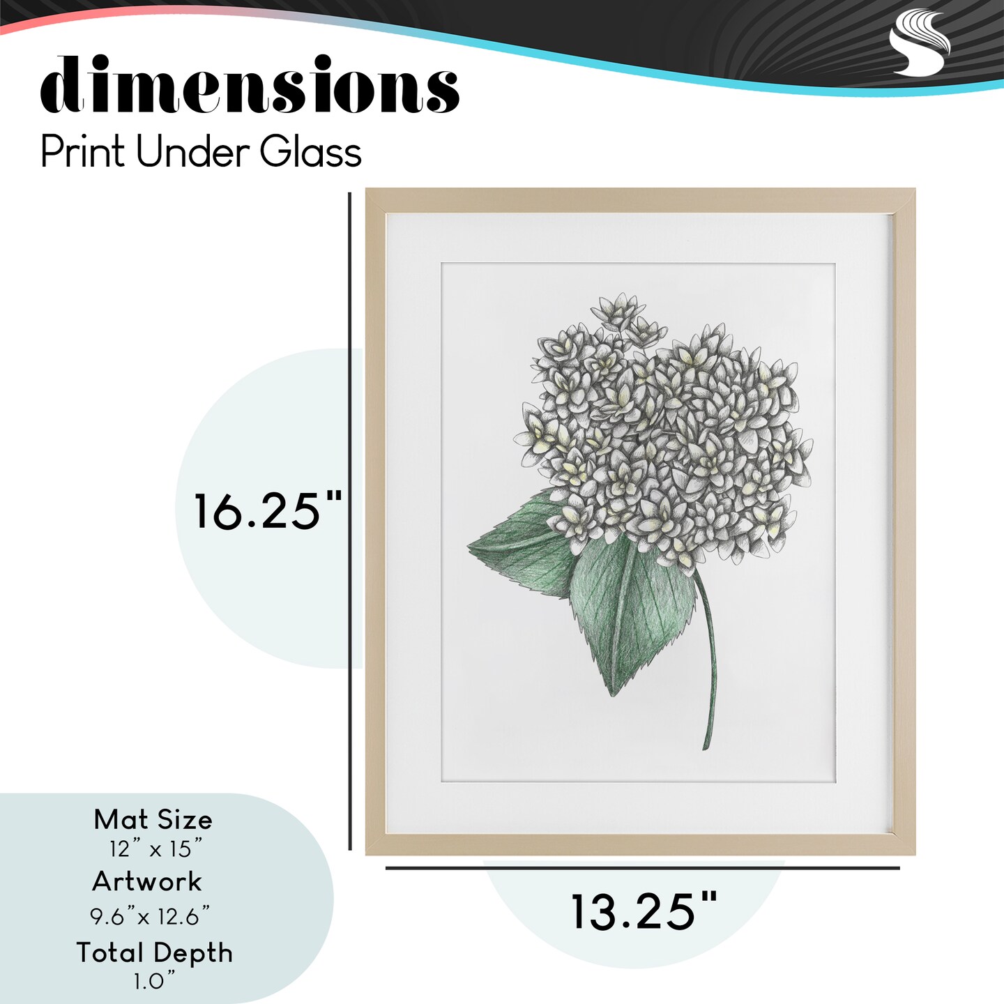 Stupell Industries White Hydrangea Sketch Blossom Framed Print Under Glass, design by Cecilia Battaini
