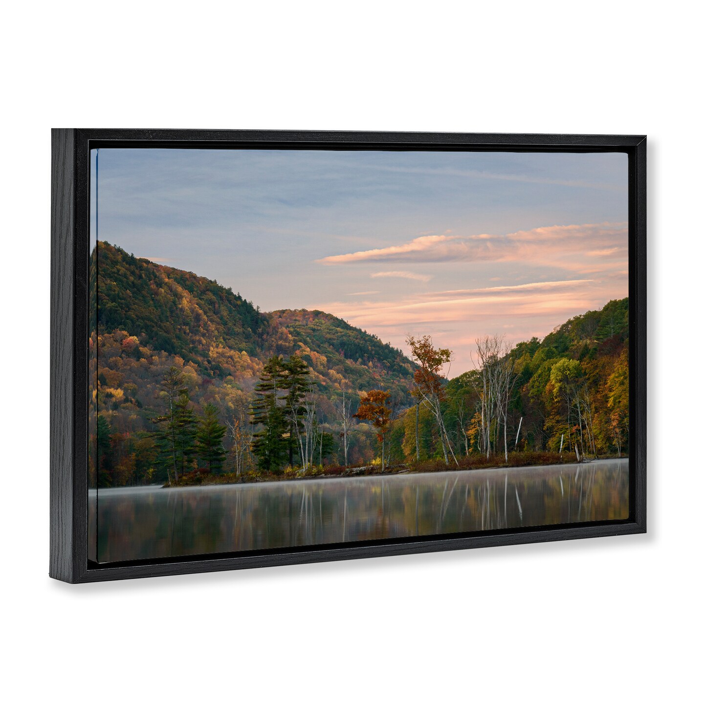 Stupell Industries Nature's Change Reflection Floating Frame, design by James Rodewald