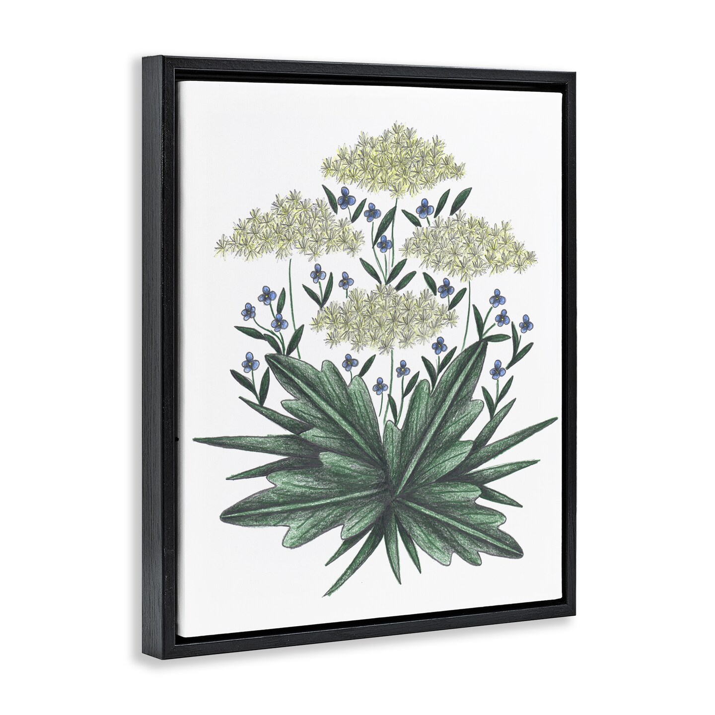 Stupell Industries New Roots Vintage Sketch Floating Frame, design by Cecilia Battaini
