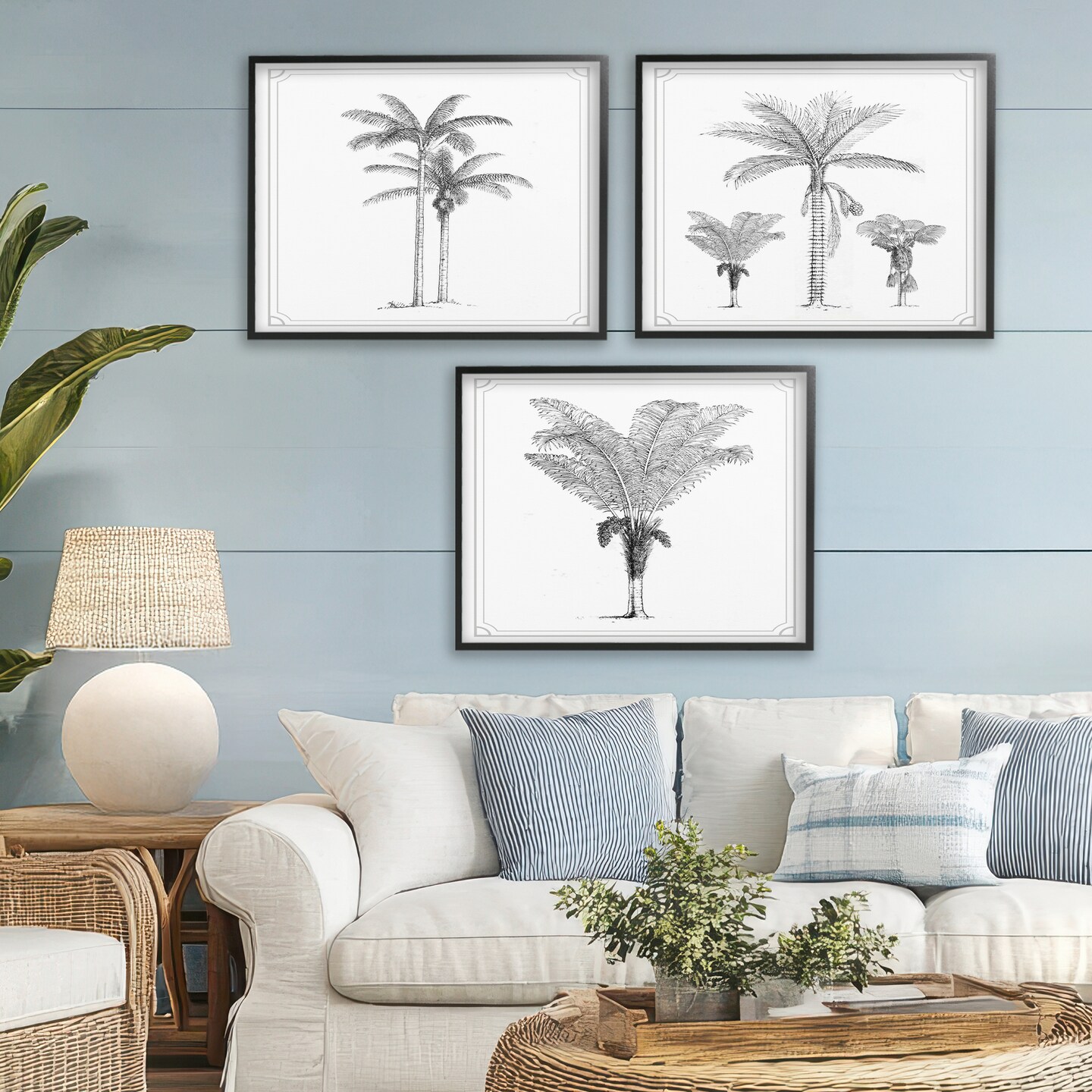 Stupell Industries Minimal Vintage Palm Tree Sketches 3pc Framed Giclee Set, design by Lettered and Lined