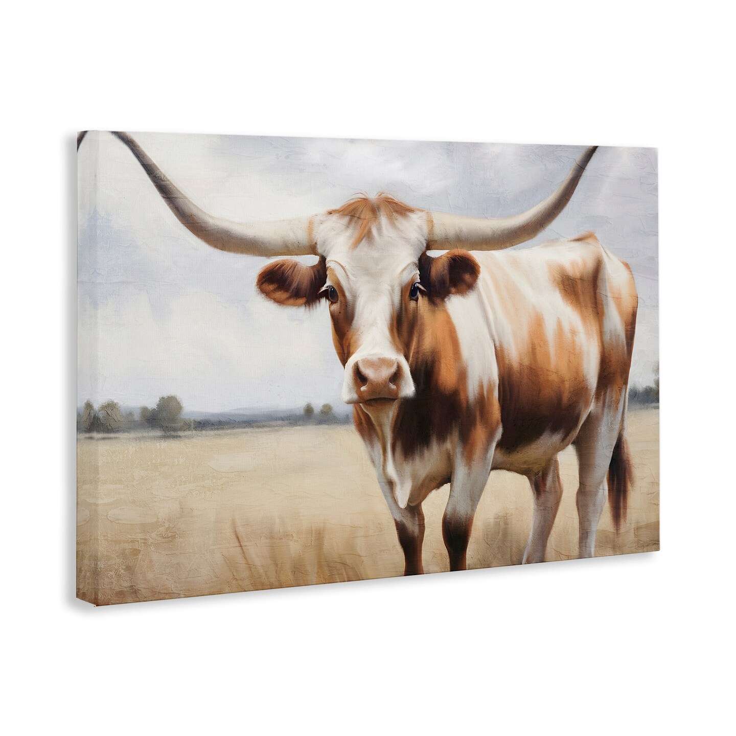 Stupell Industries Spotted Brown Longhorn Canvas Wall Art Design by Kim Allen