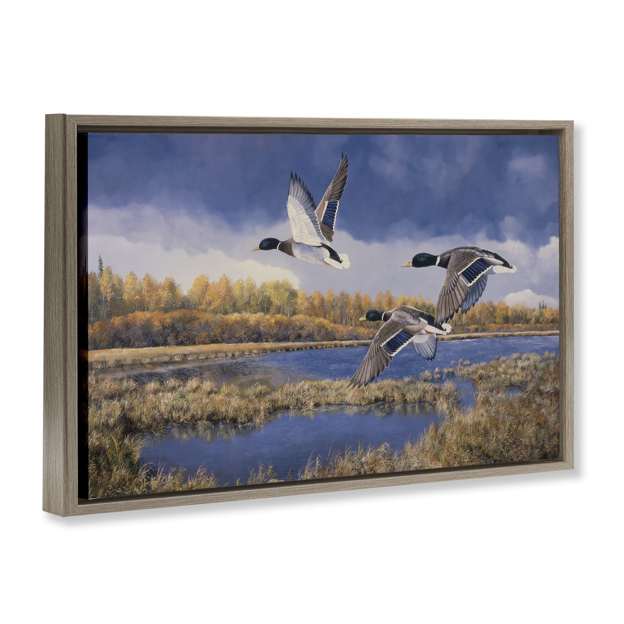 Stupell Industries Ducks Heading South Framed Floater Canvas Wall Art Design by Andrew Kiss
