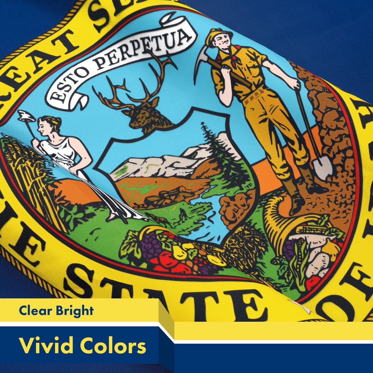 G128 Idaho ID State Flag | 3x5 Ft | LiteWeave Pro Series Printed 300D Polyester | Indoor/Outdoor, Vibrant Colors, Brass Grommets, Thicker and More Durable Than 100D 75D Polyester
