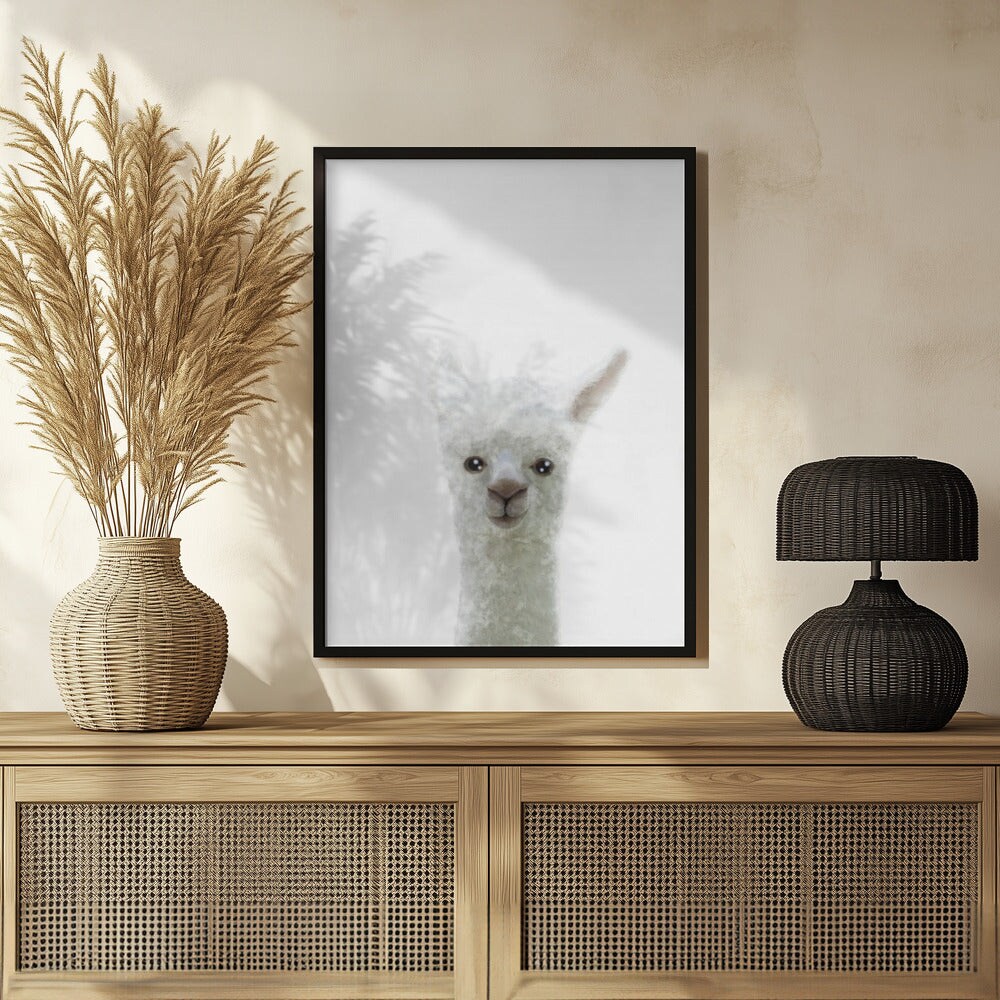 Llama - Pictufy Studio II 24x36 Black Framed Art | Home or Office Art