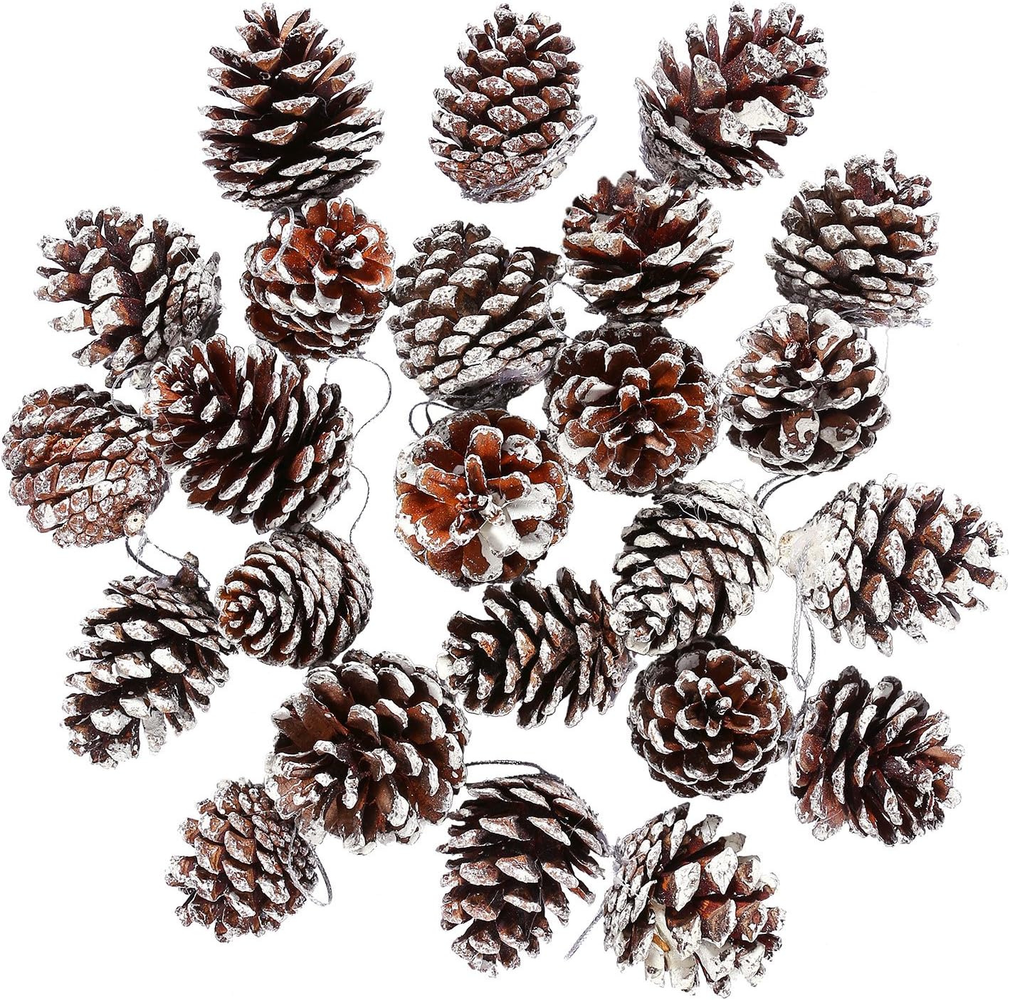 24 Pieces Christmas Pine Cones Ornament Natural PineCones with String Pendant Crafts for Gift Tag Christmas Tree Party Hanging Decoration (Snow)