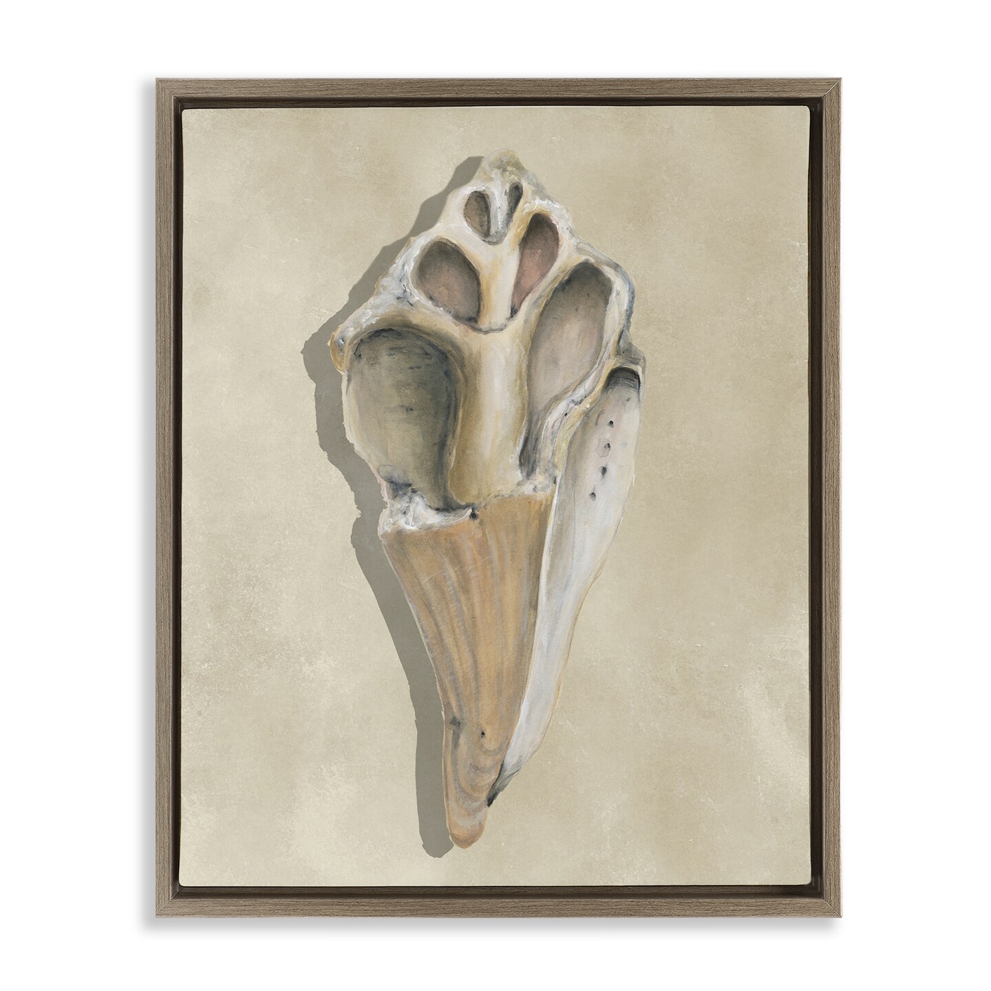Stupell Industries Broken Conch Shell Floating Frame By Michael Willett