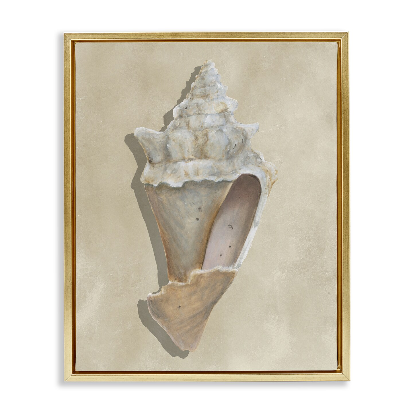 Stupell Industries Tan Toned Conch Shell Floating Frame By Michael Willett