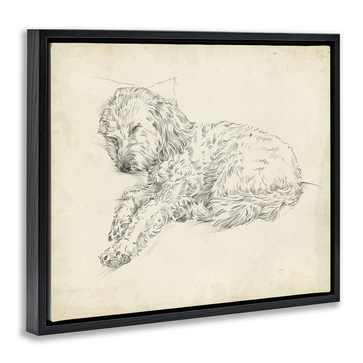 Stupell Industries Antique Sleeping Dog Sketch Floating Frame By Ethan Harper