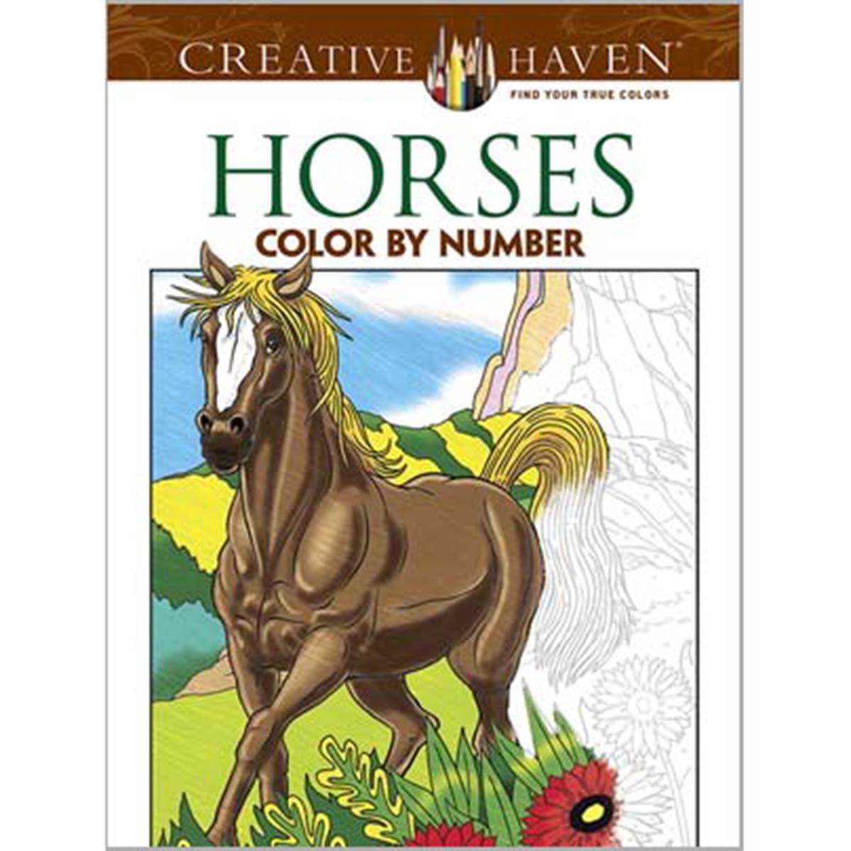 Dover  Horses Color by Number Coloring Book