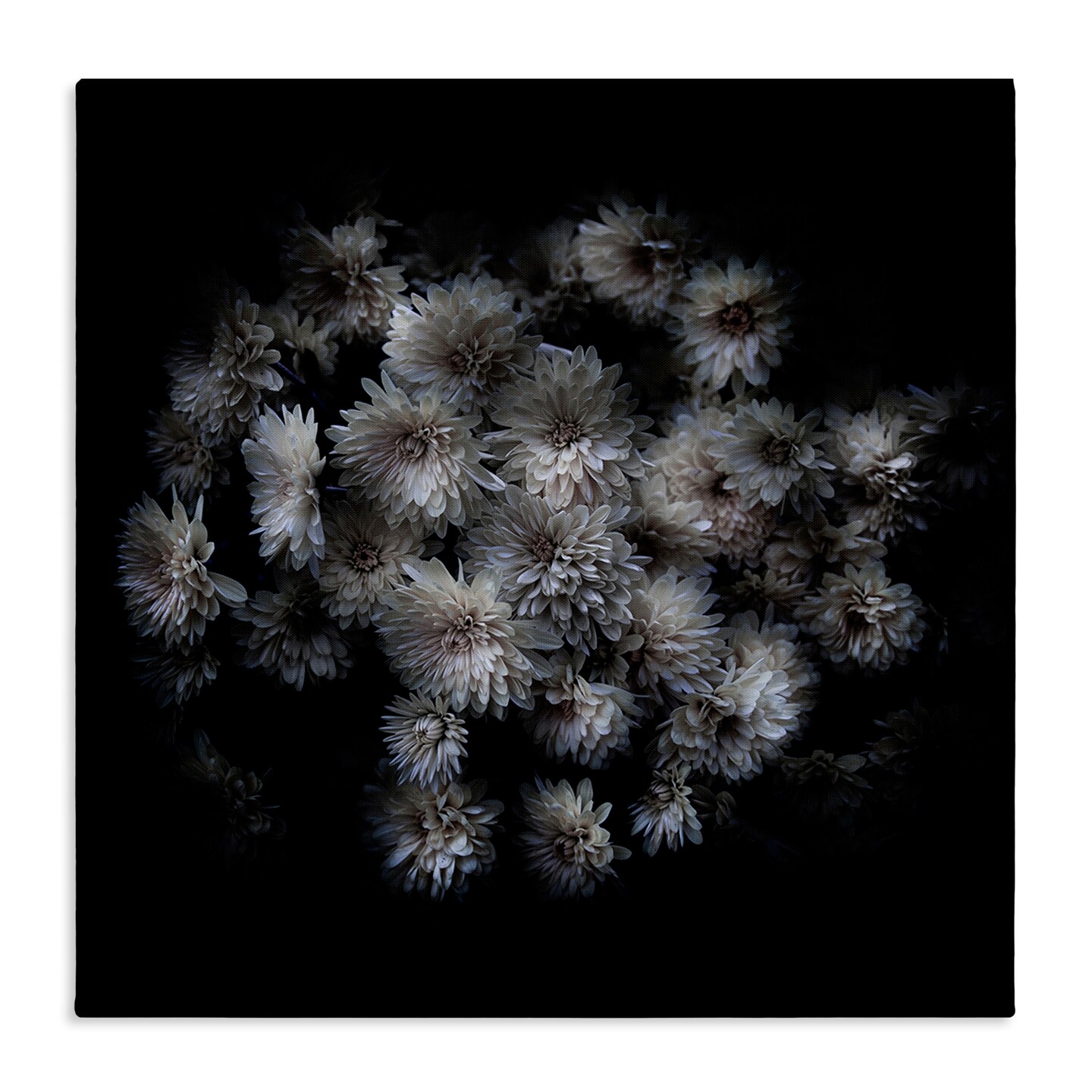 Stupell Industries Mum Bundle on Black Canvas Wall Art Design by Brian Carson