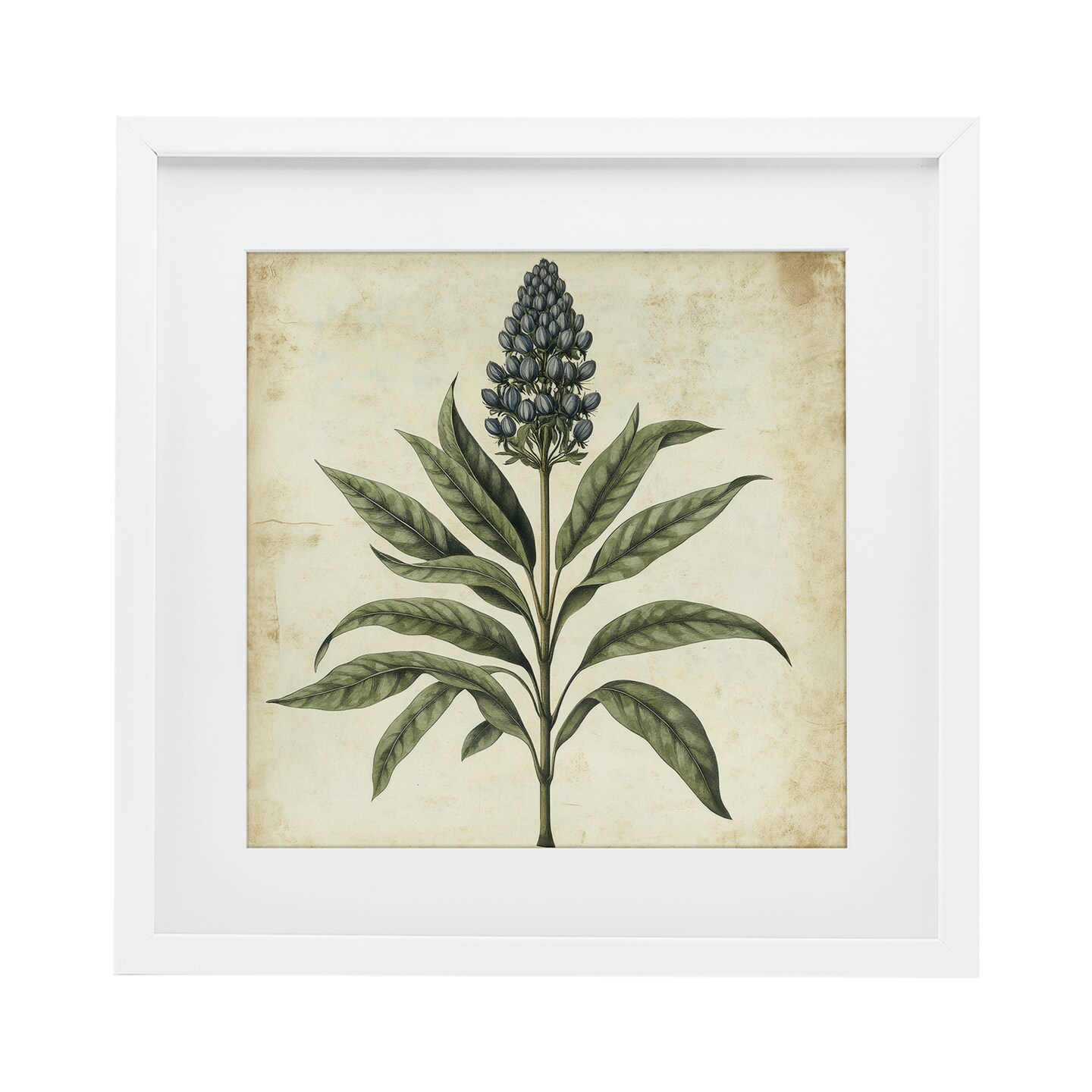 Stupell Industries Vintage Blue Botanical Illustration Framed Print Under Glass, design by Petal Prints Design