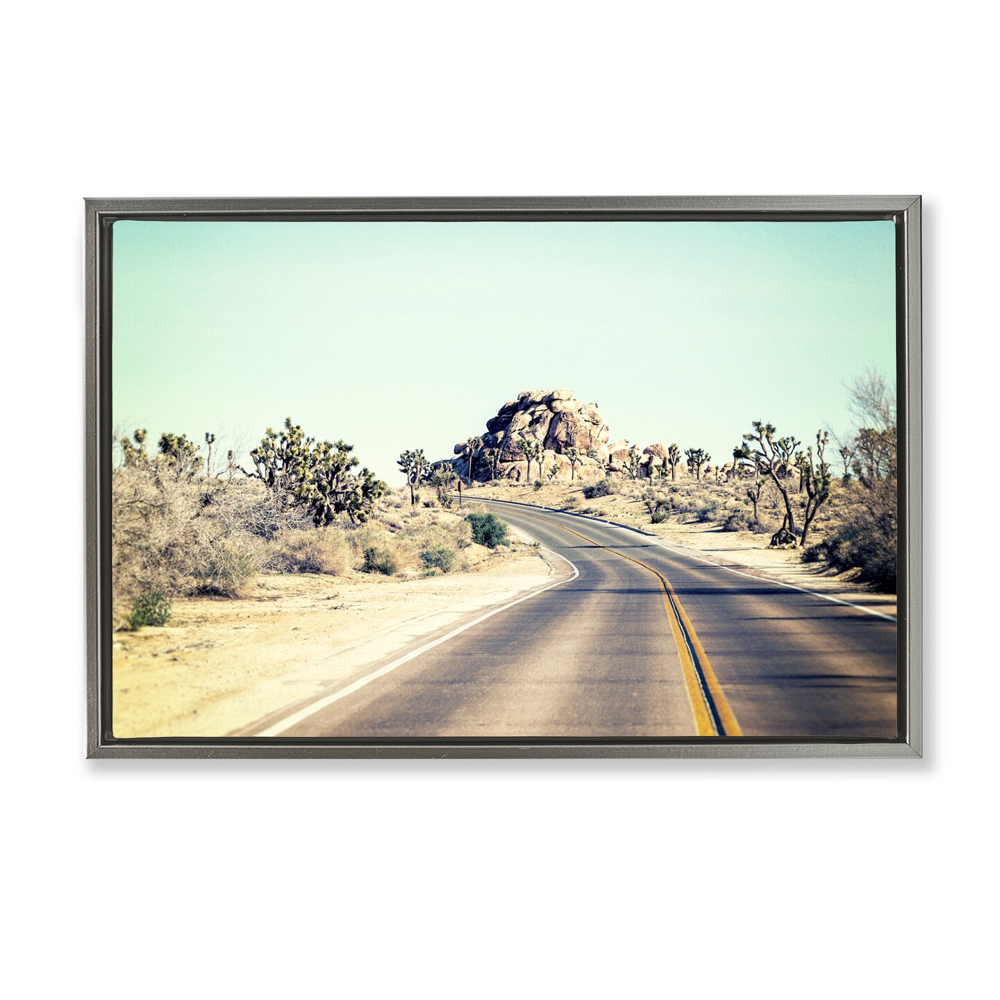 Stupell Industries Road Trip Joshua Tree Park Floating Frame, design by Joseph S Giacalone