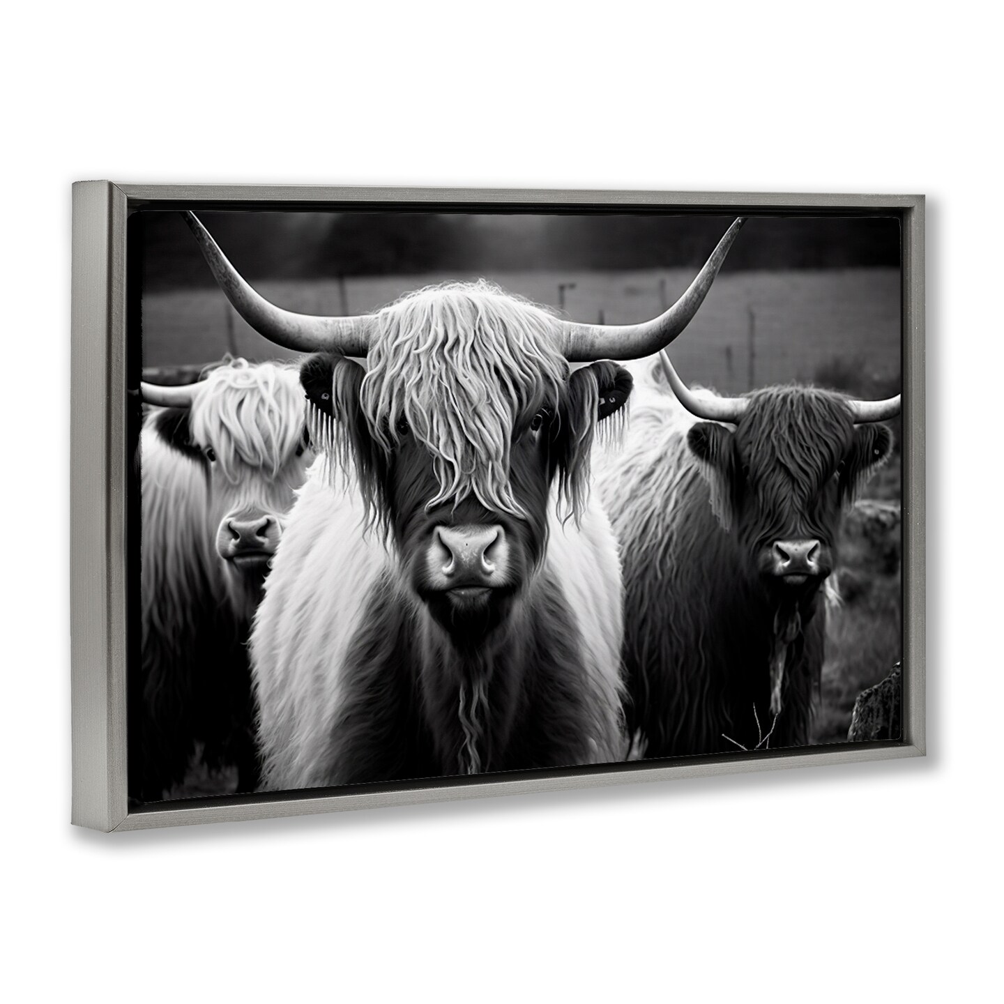 Stupell Industries Black & White Highland Cows Floater Framed Canvas Wall Art Design by Franklyn Gregory