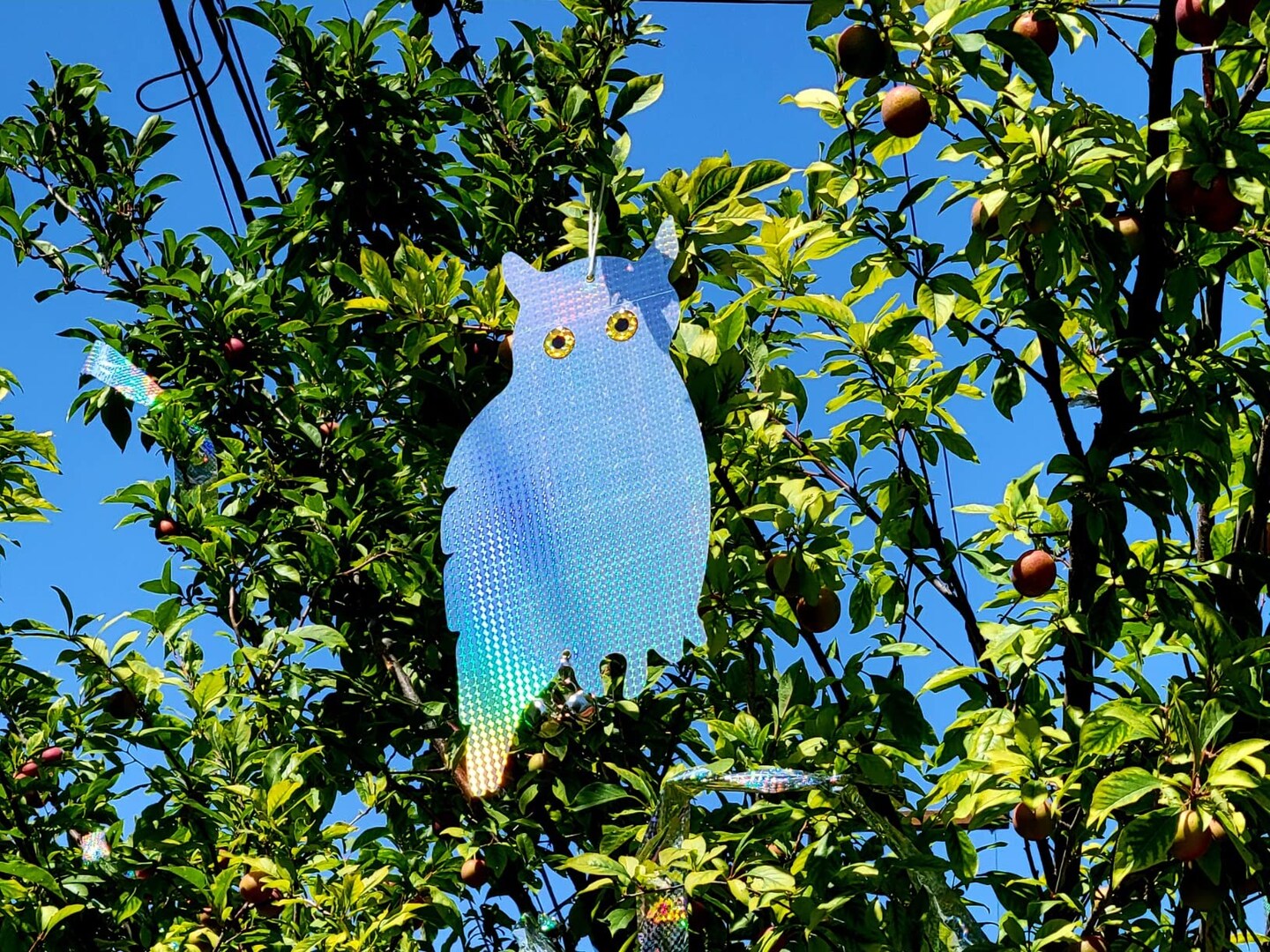 2 Pack Hanging Reflective Owl to Scare Birds Away Bird Blinder Bird Scare Devices Woodpecker, Swallow, Hawks, Crows, Pigeons and Birds
