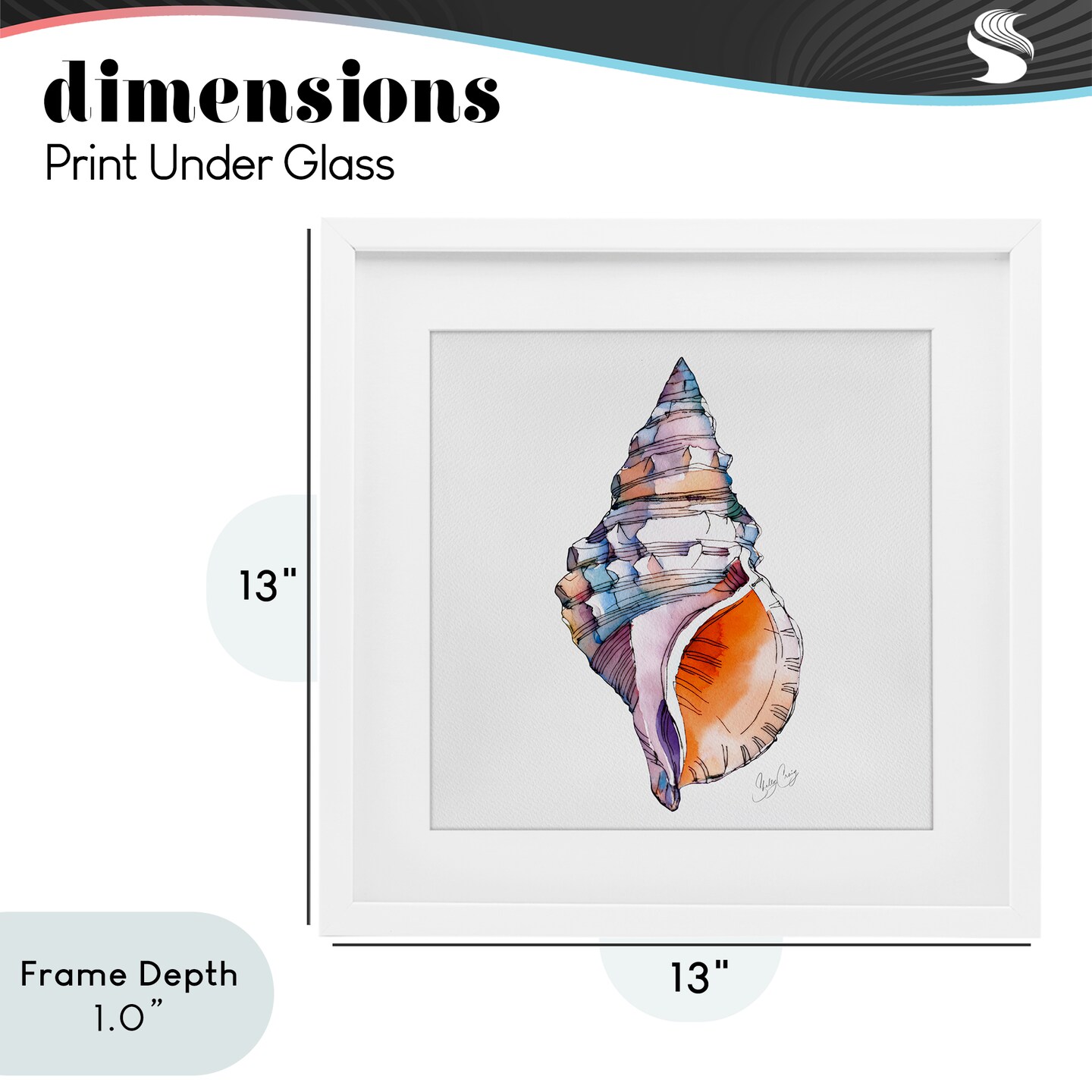 Stupell Industries Sunrise Conch Shell Framed Print Under Glass, design by Shelly Craig